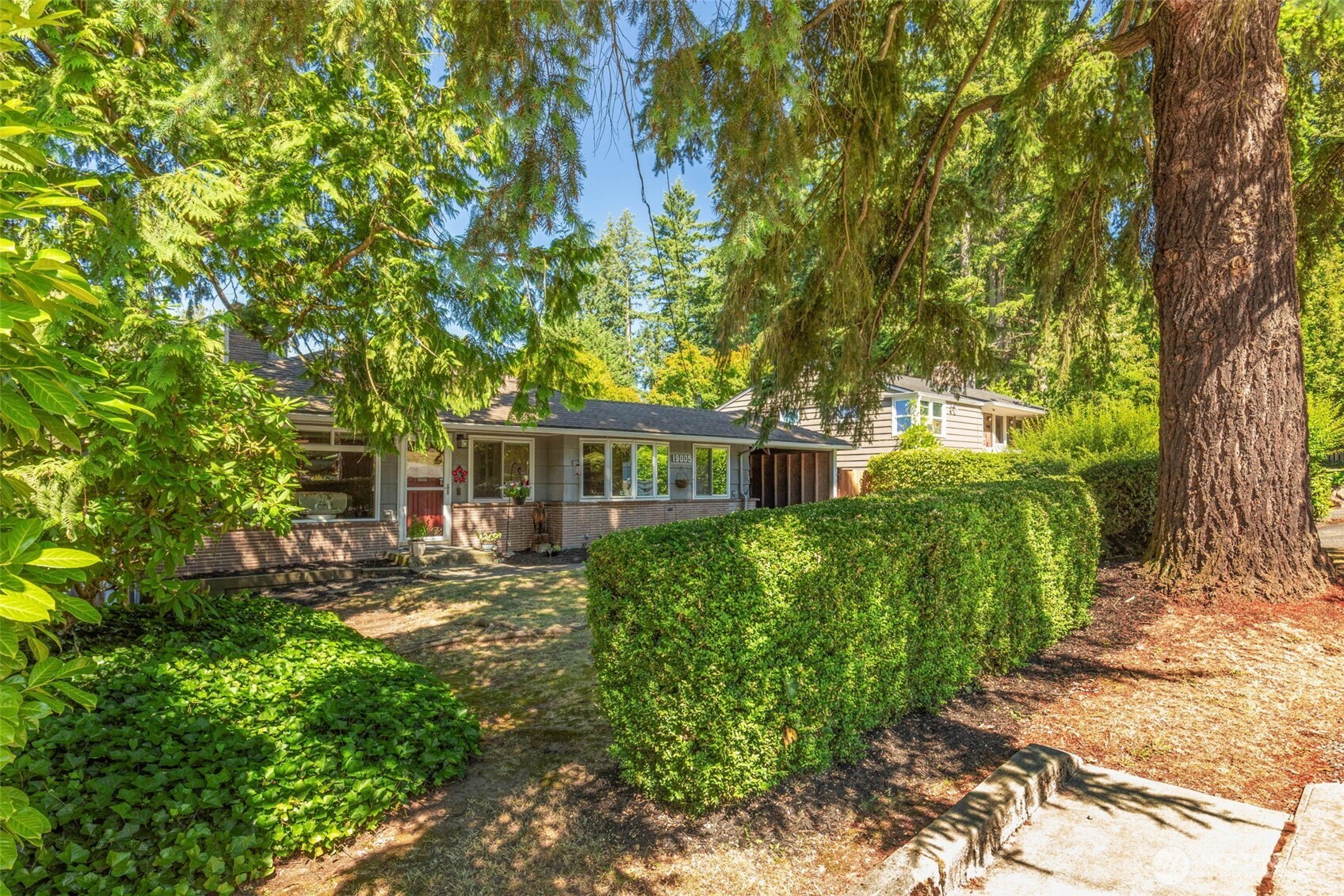 19005 104th Avenue Property Photo 22