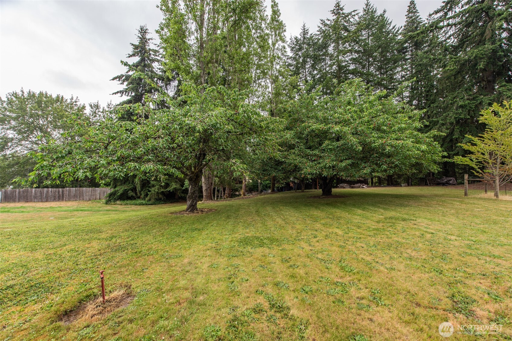 1653 Taylor Cutoff Road Property Photo 14