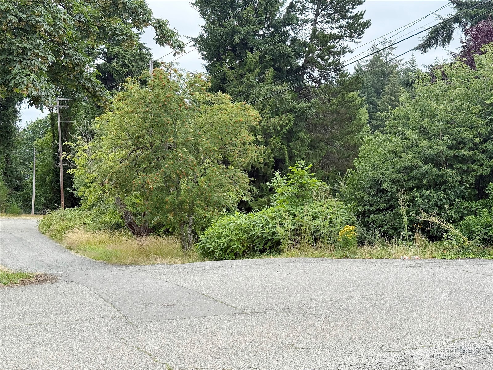 2 Xx Euclid Avenue Property Photo 1
