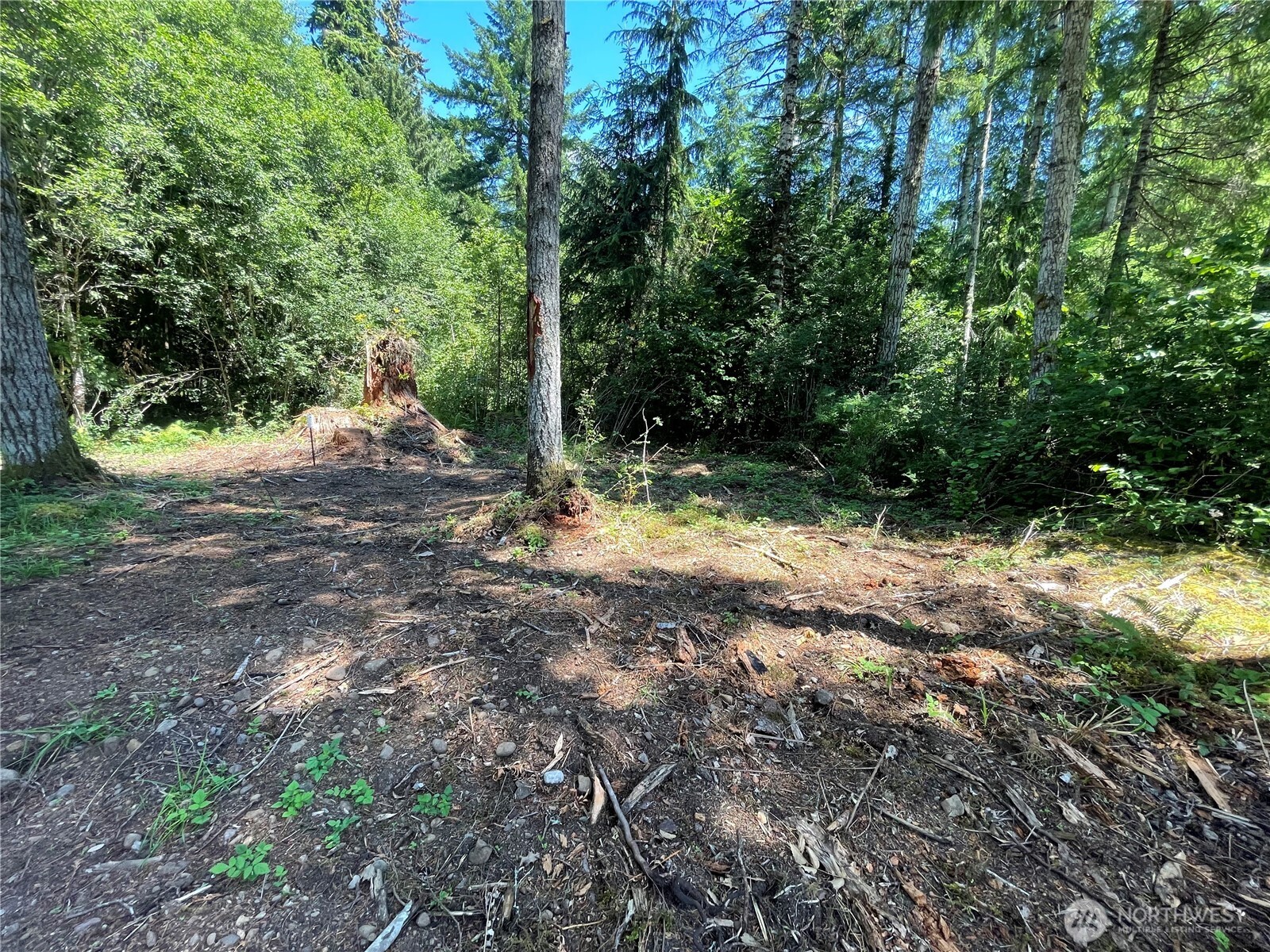 0 Xx Lynch Road Property Photo 7