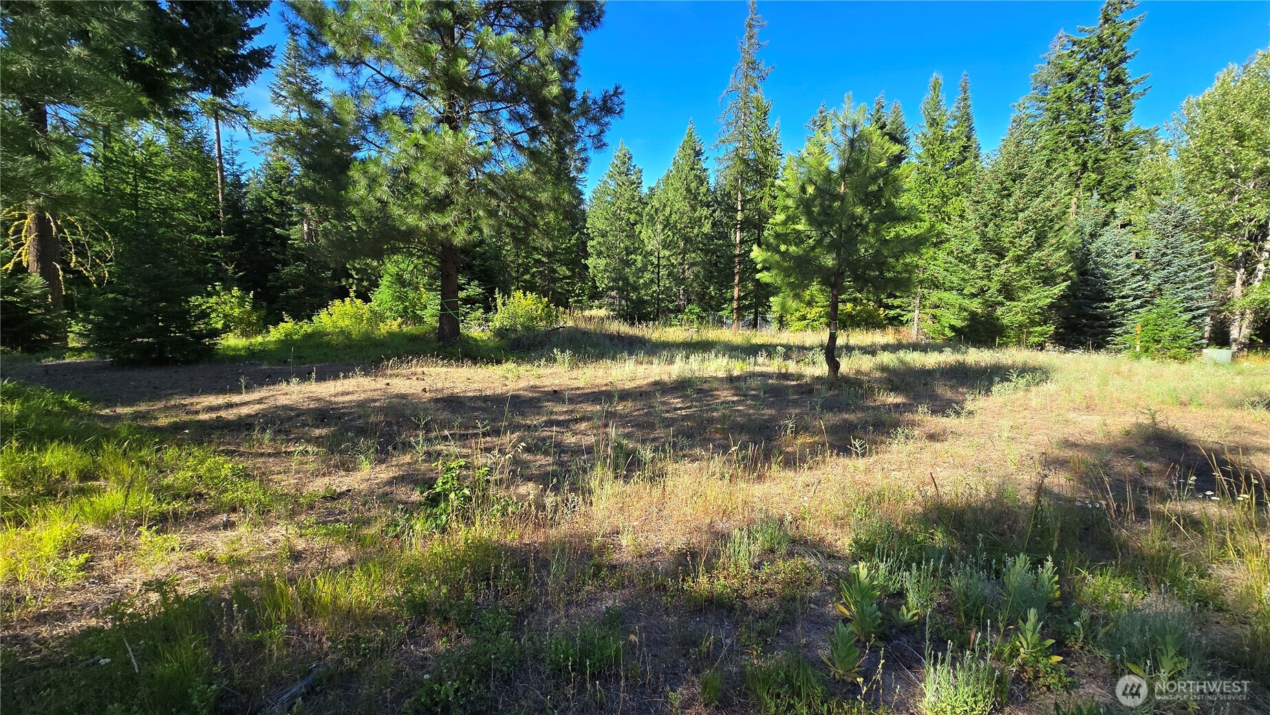 3 -lots Westside Rd Property Photo 1