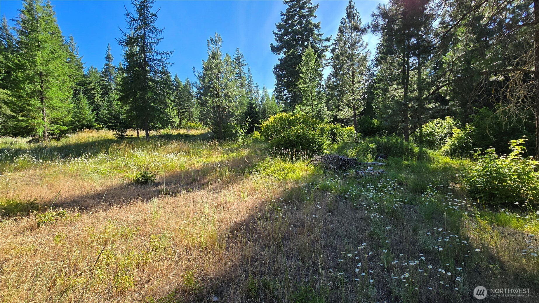 3 -lots Westside Rd Property Photo 2