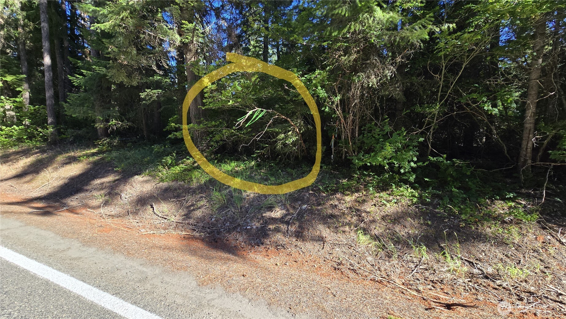 3 -lots Westside Rd Property Photo 5