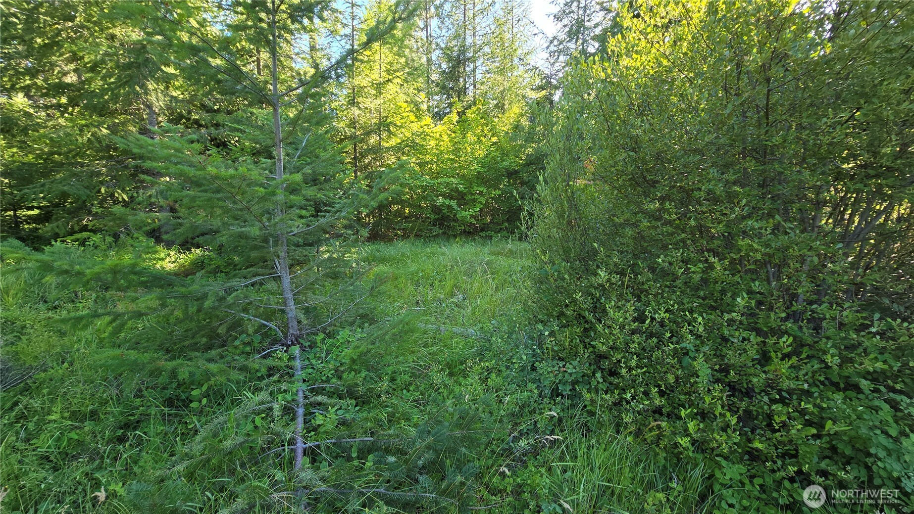 3 -lots Westside Rd Property Photo 8