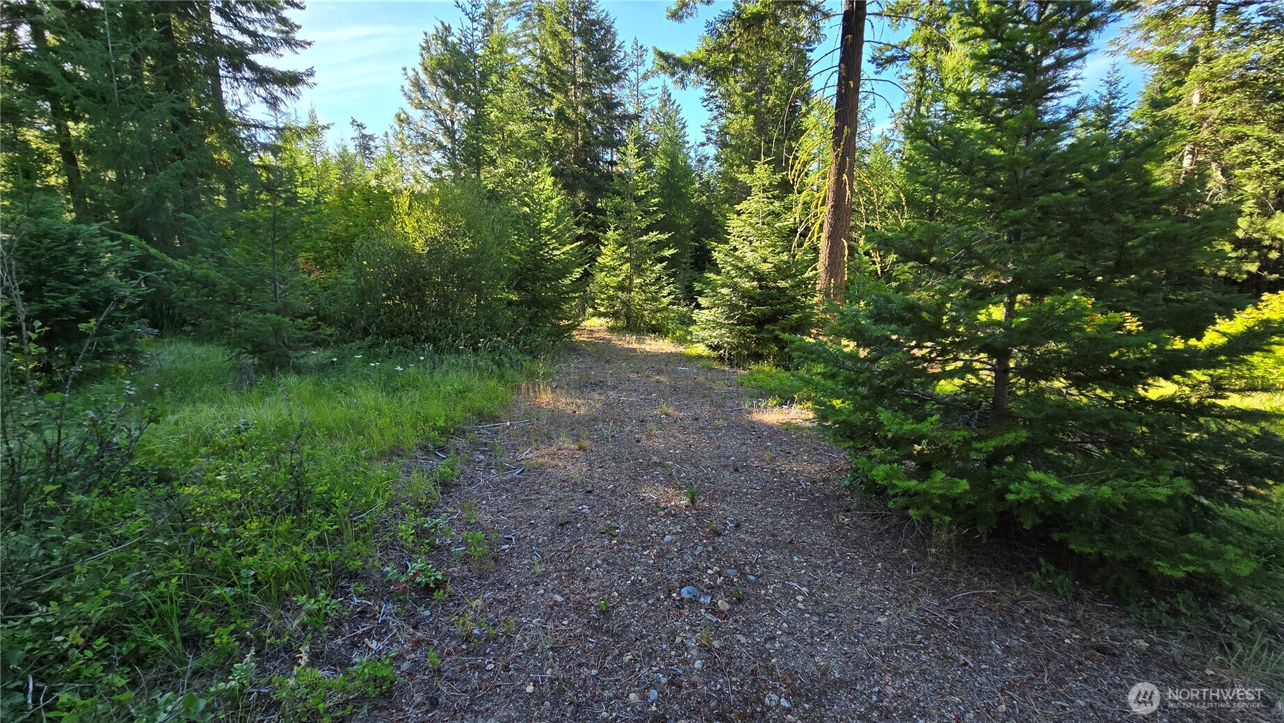 3 -lots Westside Rd Property Photo 10
