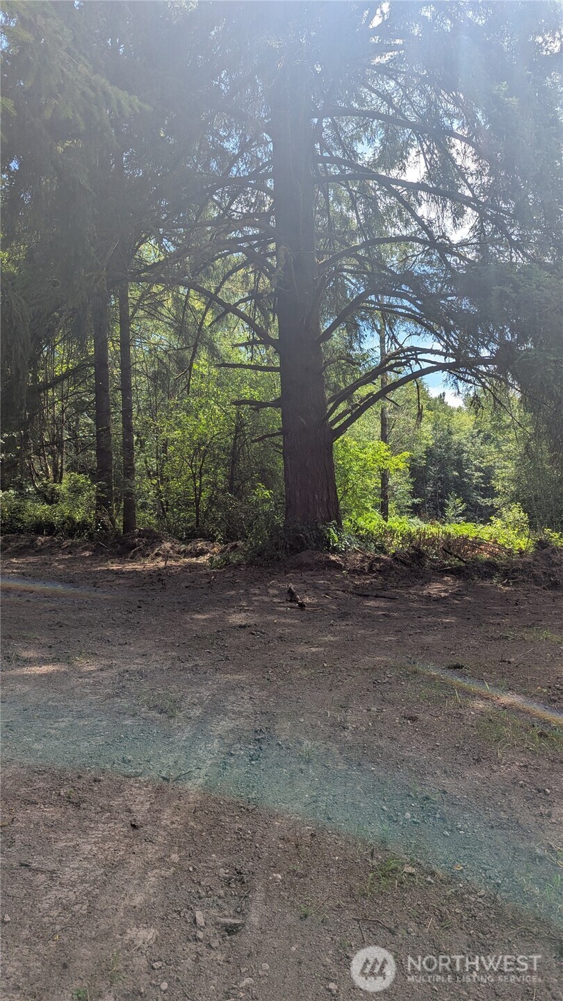 196 Jensen Road Property Photo 5