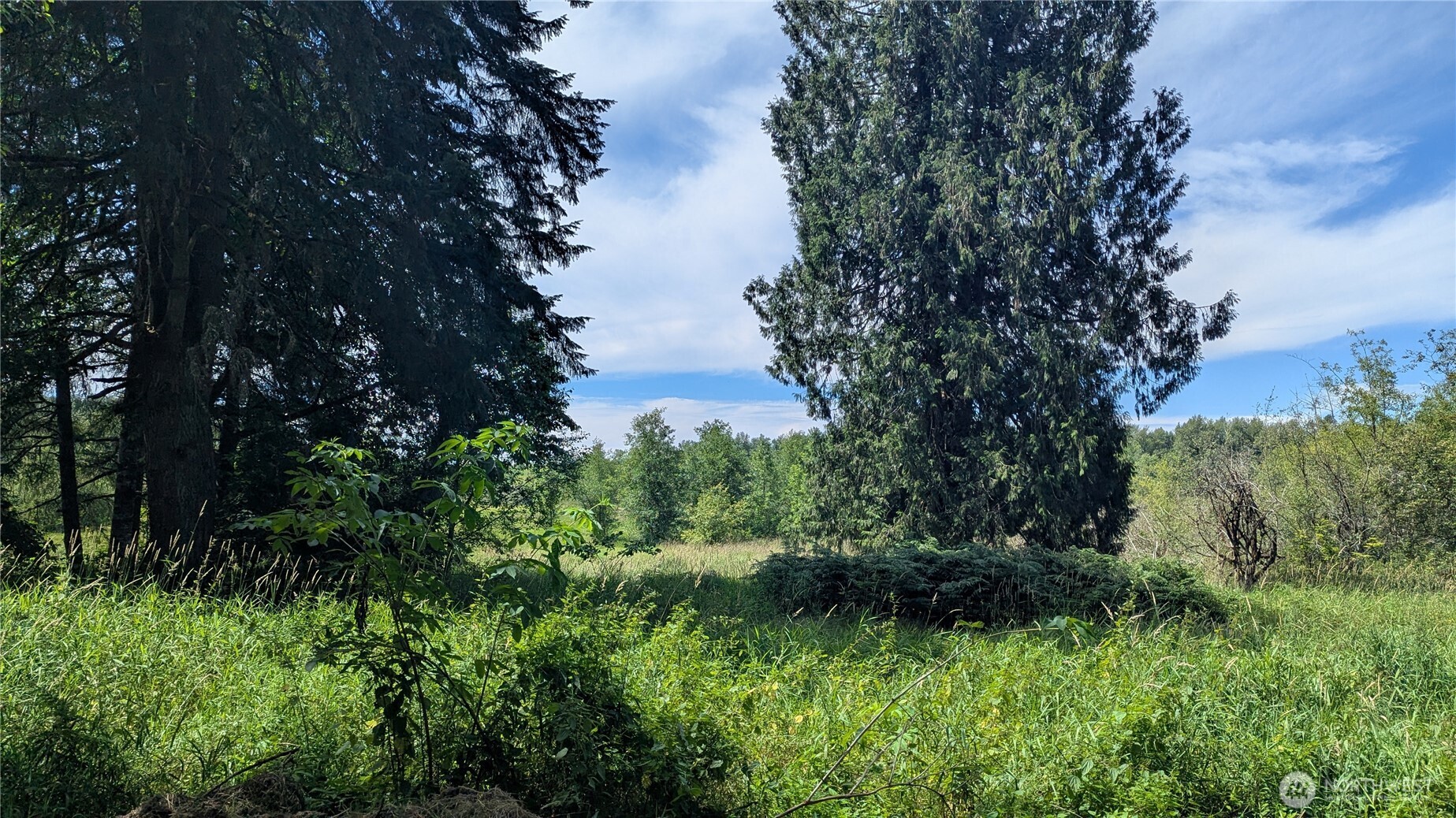 196 Jensen Road Property Photo 6