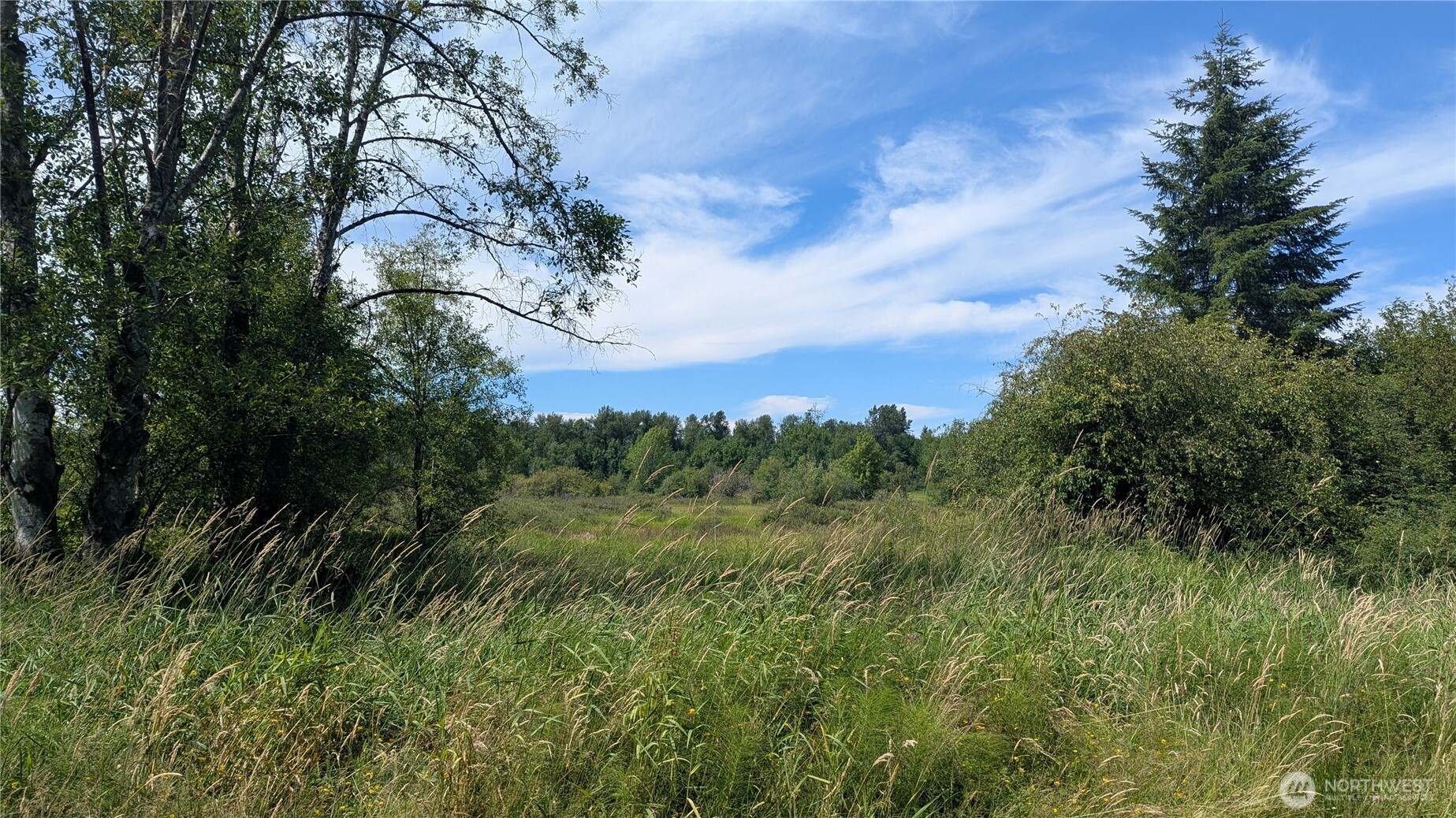 196 Jensen Road Property Photo 8
