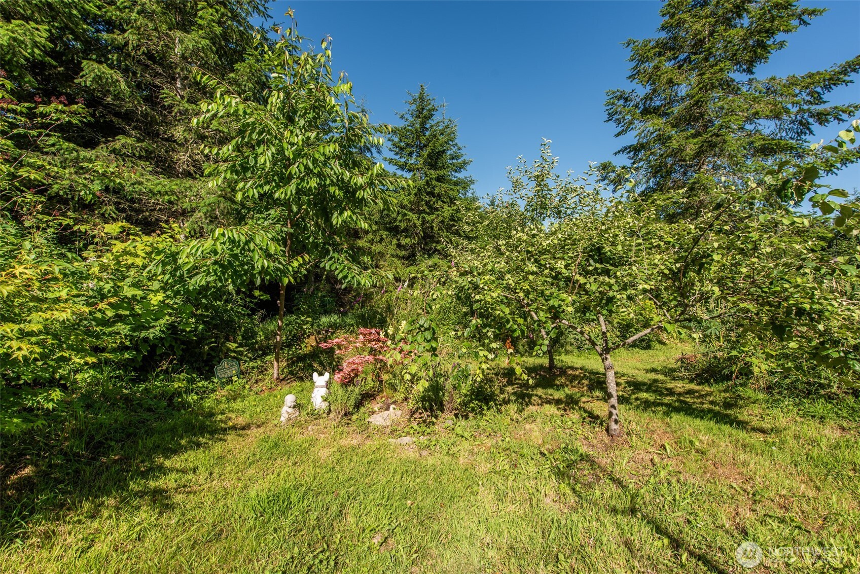 1833 Eaglemount Road Property Photo 28