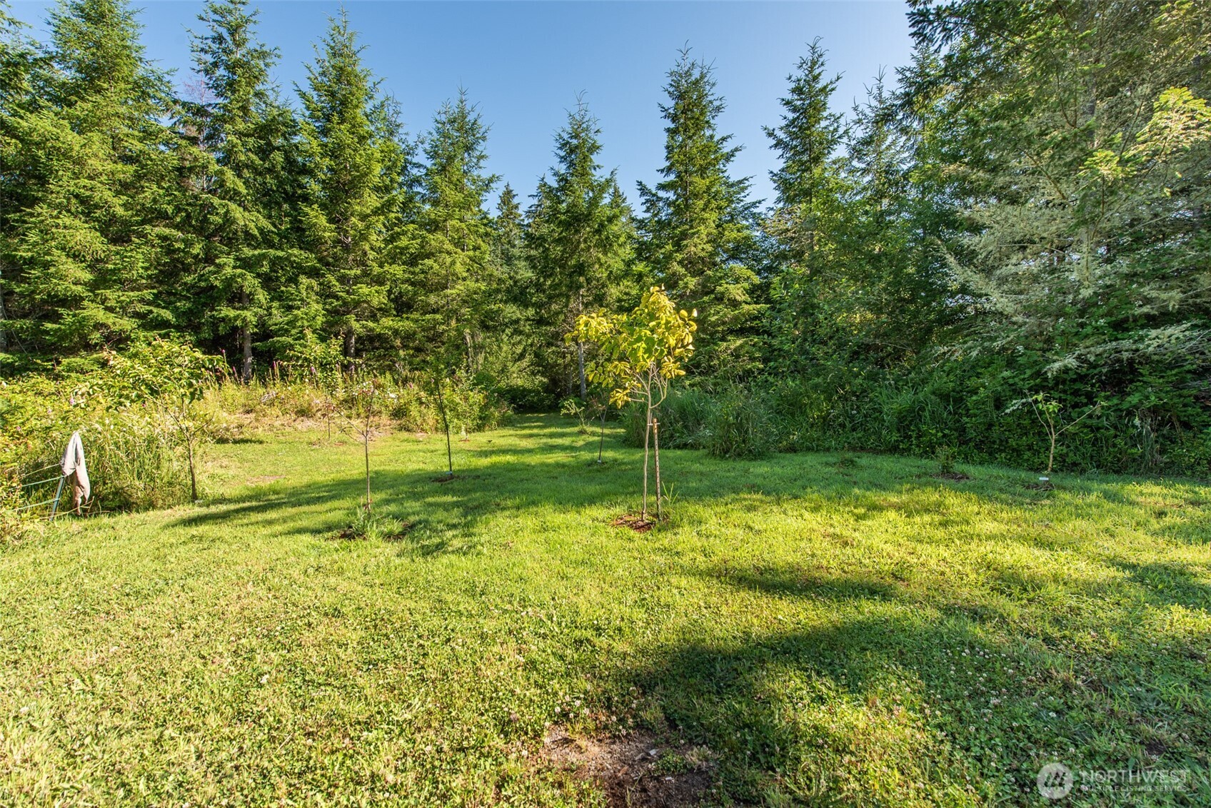 1833 Eaglemount Road Property Photo 31