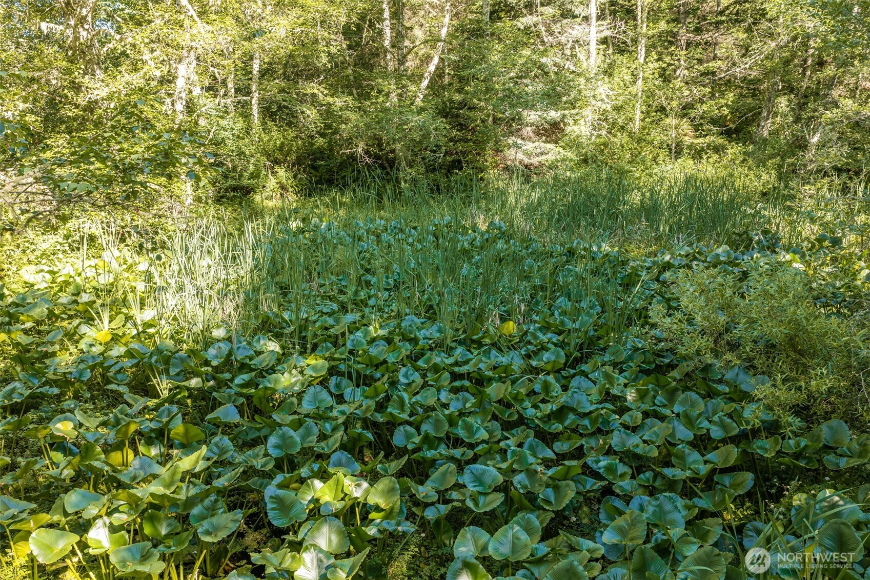 1833 Eaglemount Road Property Photo 35