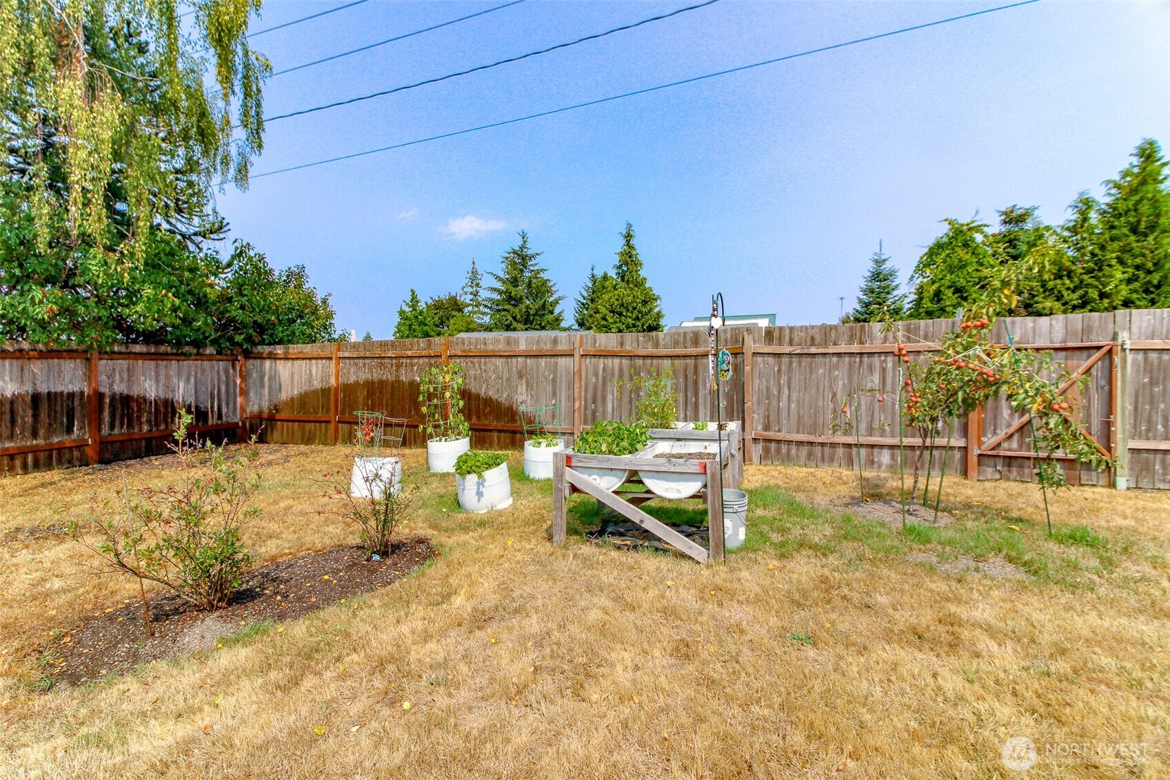 10035 Grove Road Property Photo 33