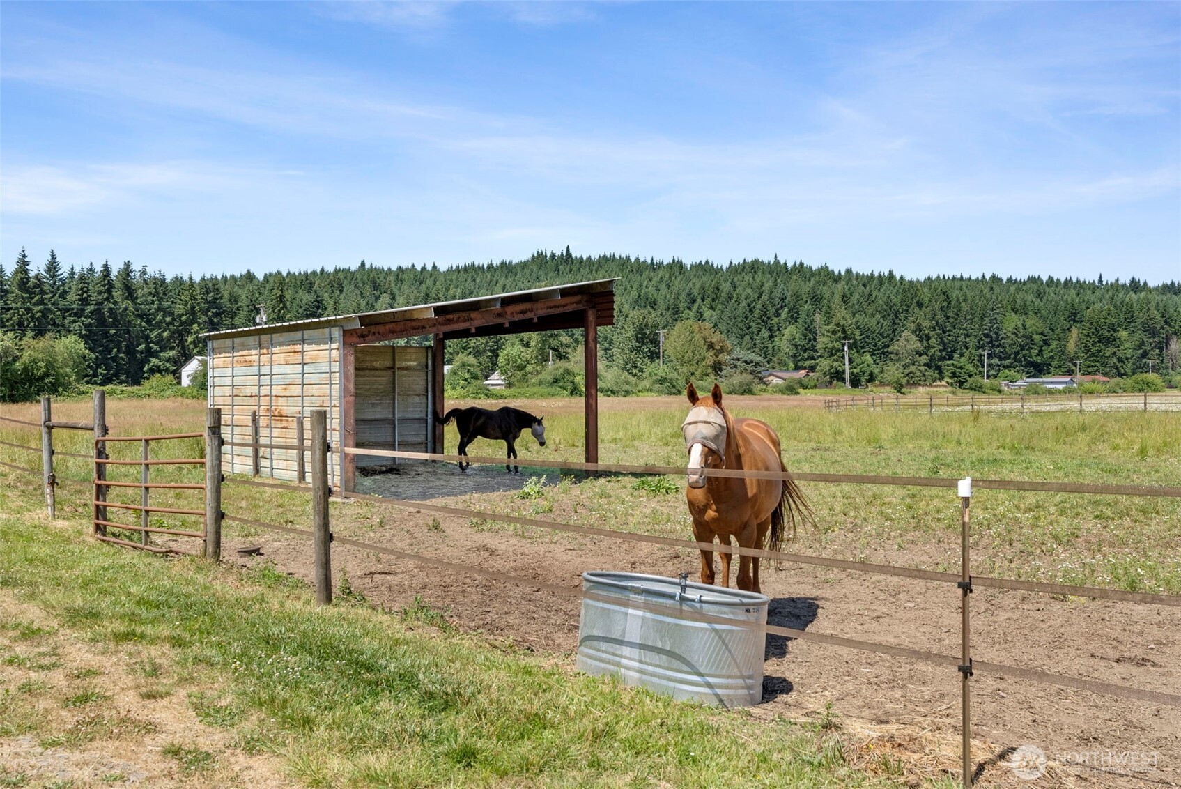 21110 Bucoda Highway Property Photo 37