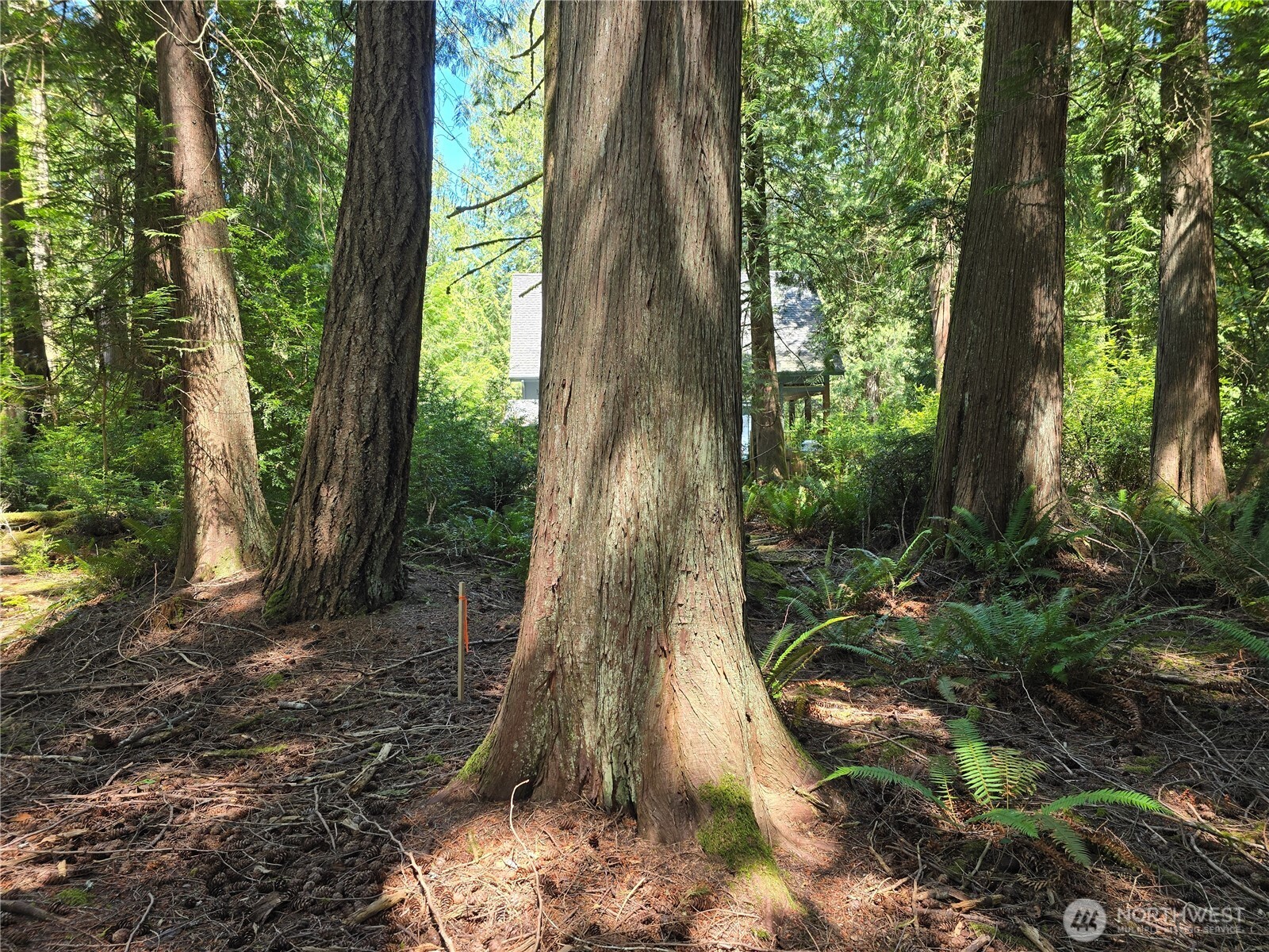133 E Barnacle Boulevard Property Photo 8
