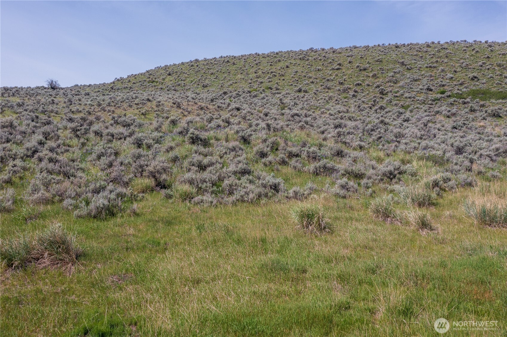 0 Nna Ellemeham Mountain Road Property Photo 17