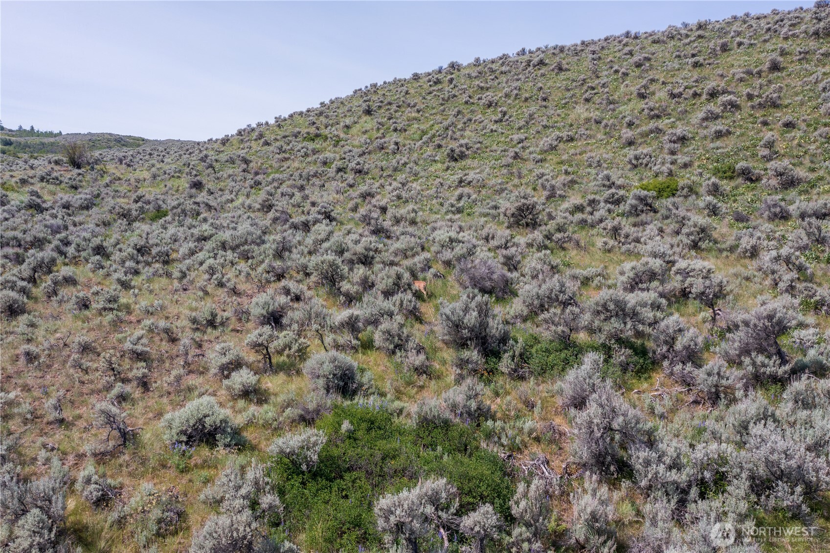 0 Nna Ellemeham Mountain Road Property Photo 18