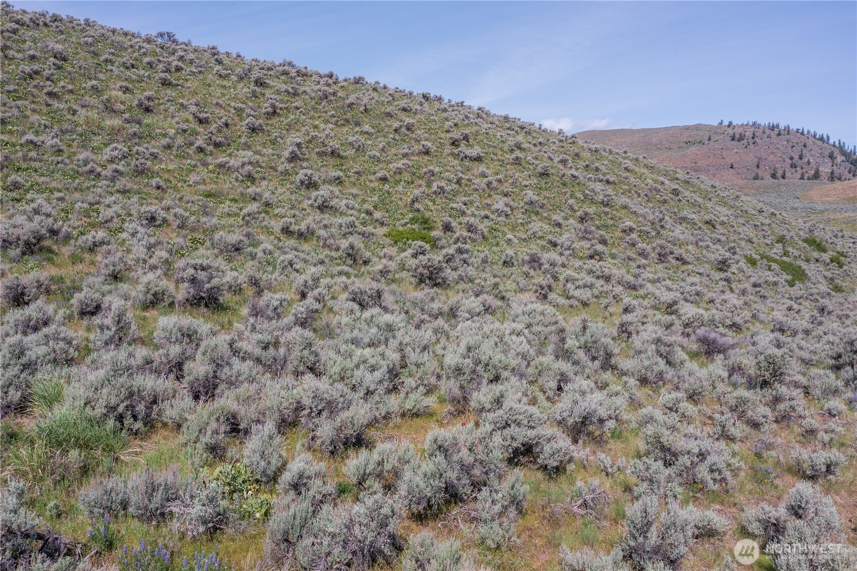 0 Nna Ellemeham Mountain Road Property Photo 19