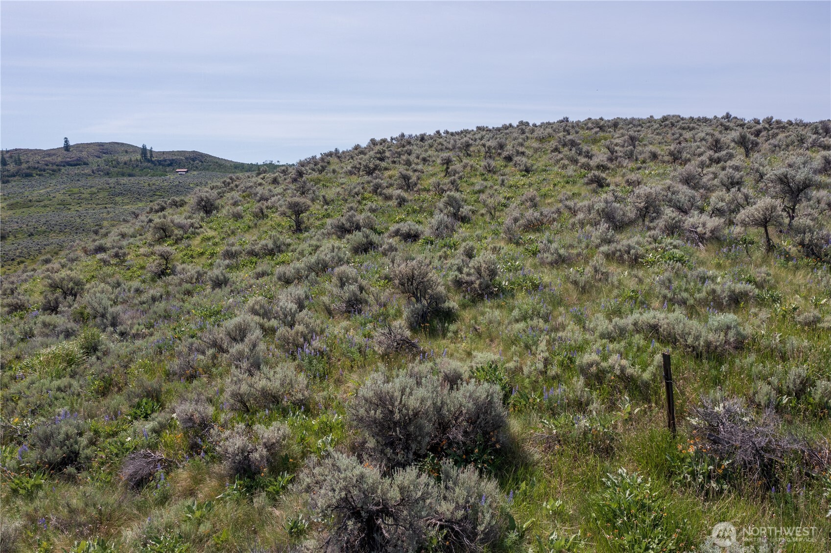 0 Nna Ellemeham Mountain Road Property Photo 23