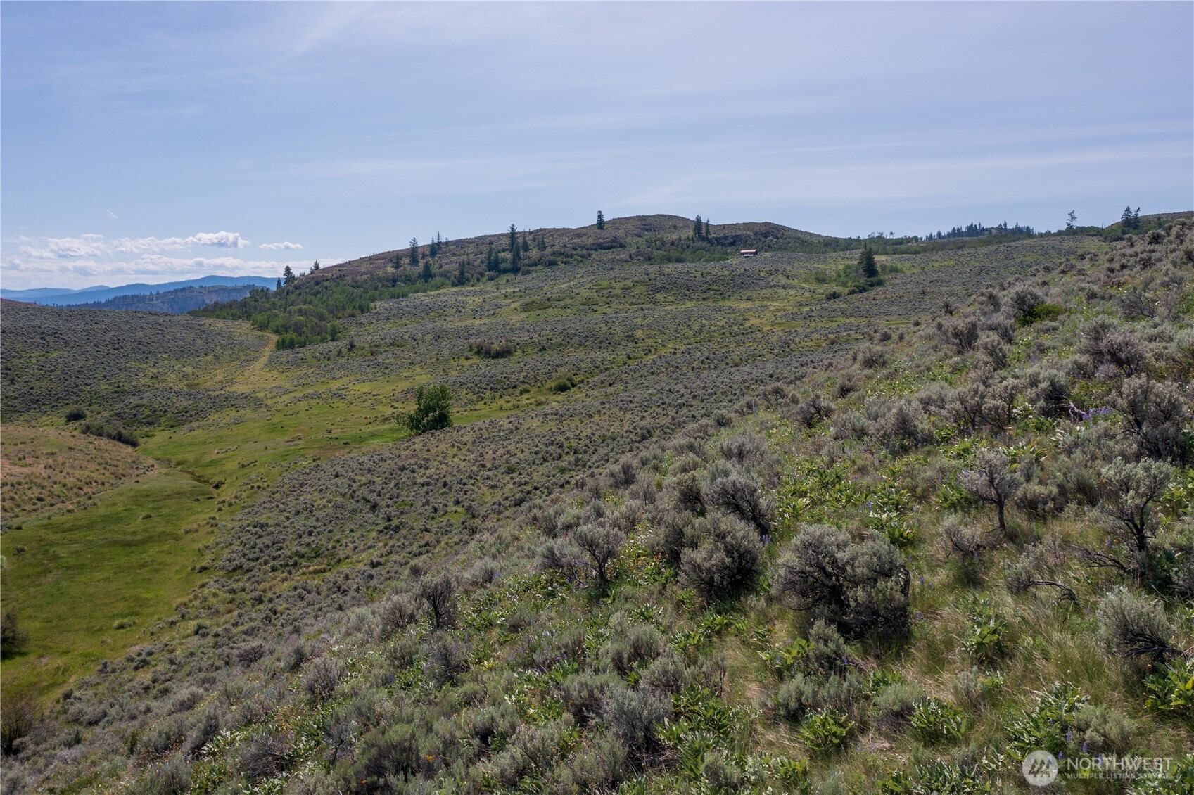 0 Nna Ellemeham Mountain Road Property Photo 24
