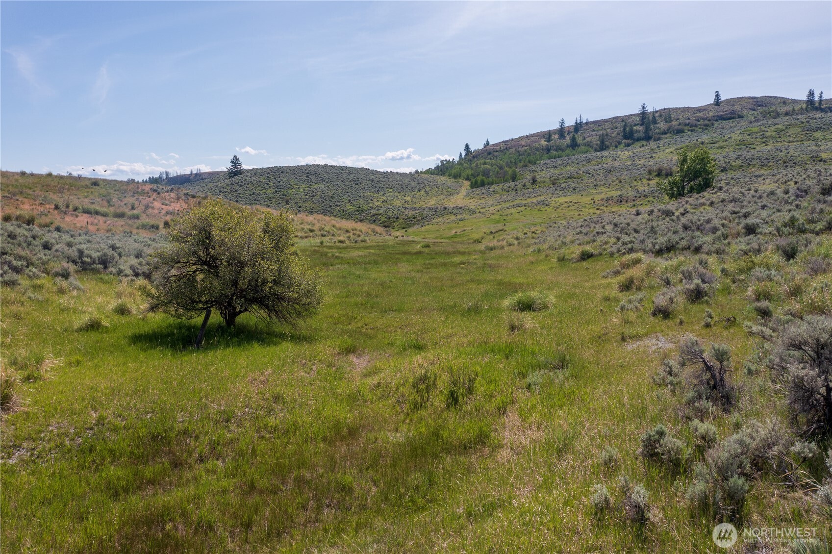 0 Nna Ellemeham Mountain Road Property Photo 26