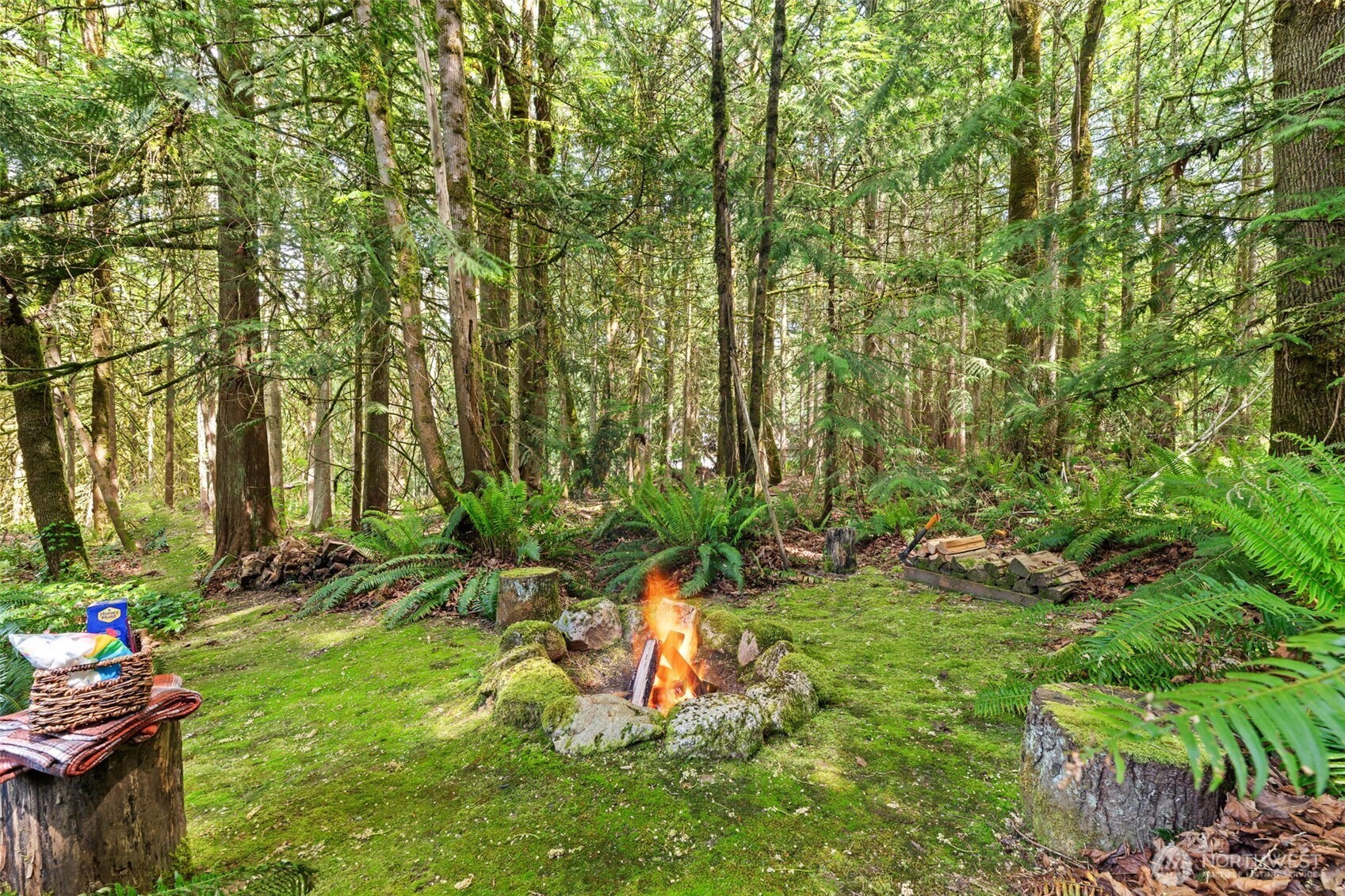 28536 Ne Tolt Hill Road Property Photo 37