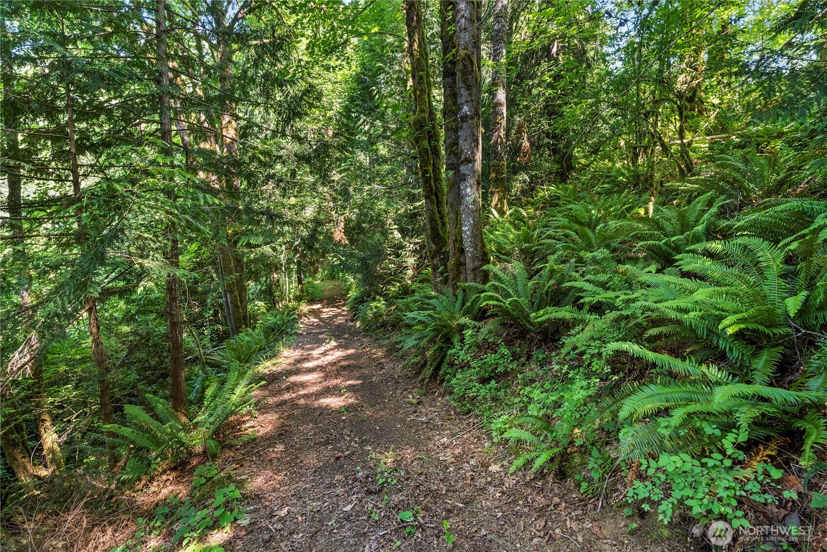 223 Porter Creek Road Property Photo 33