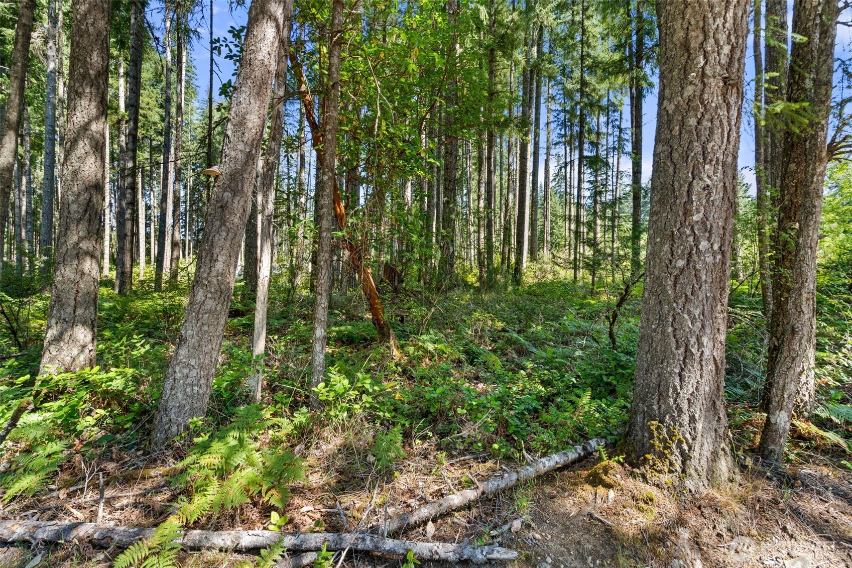 1030 E Phillips Lake Road Property Photo 2