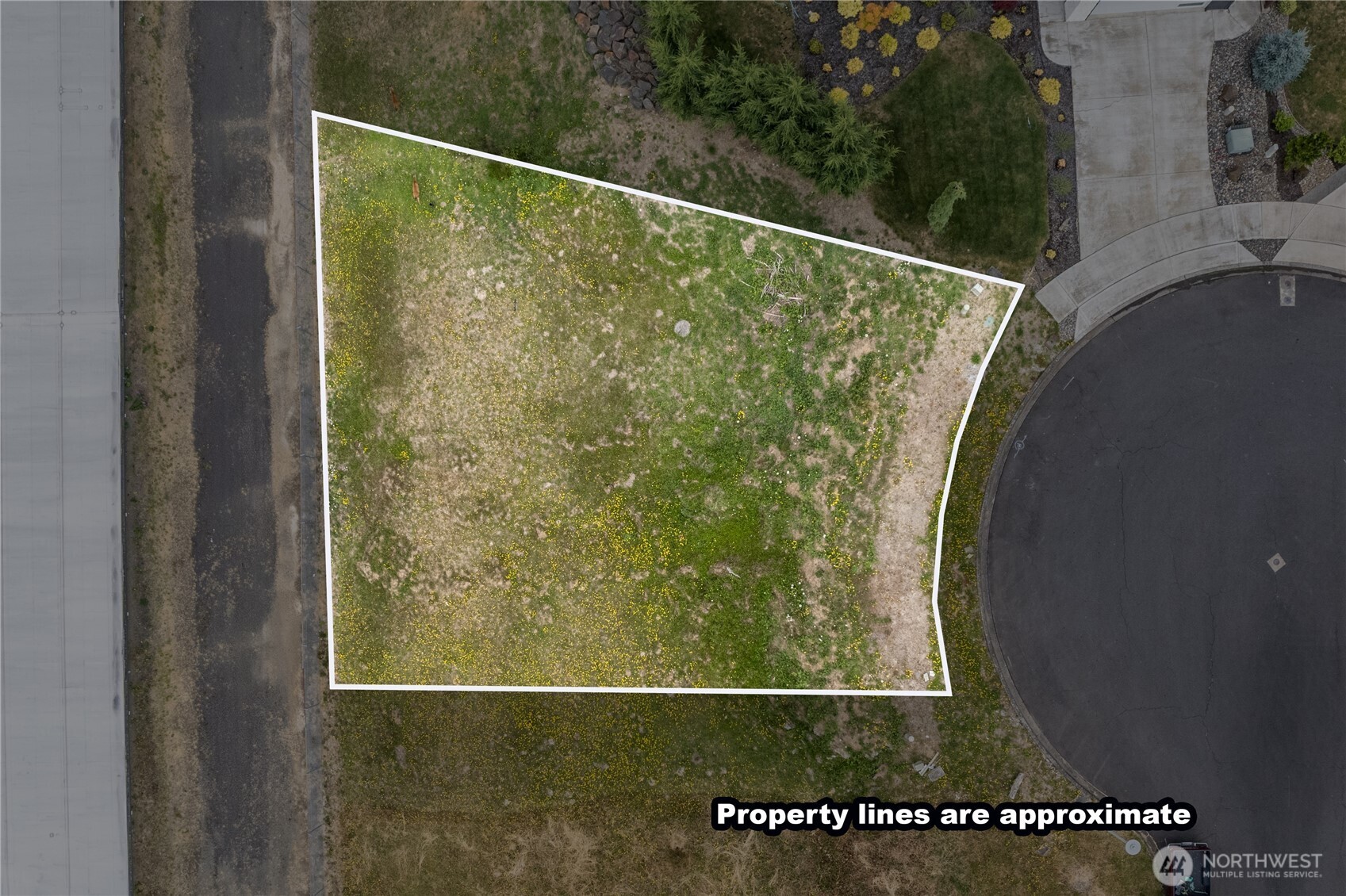 43 Alexia Court Property Photo 11