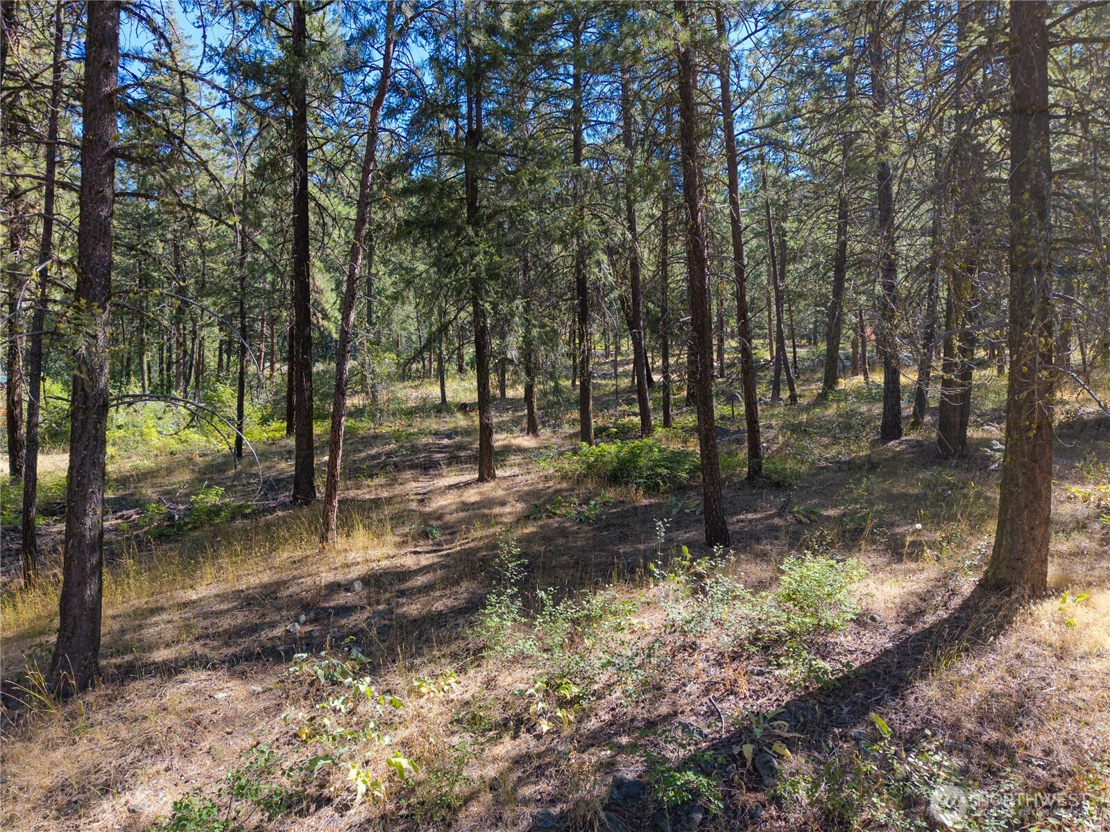 16 Highland Meadow Road Property Photo 9