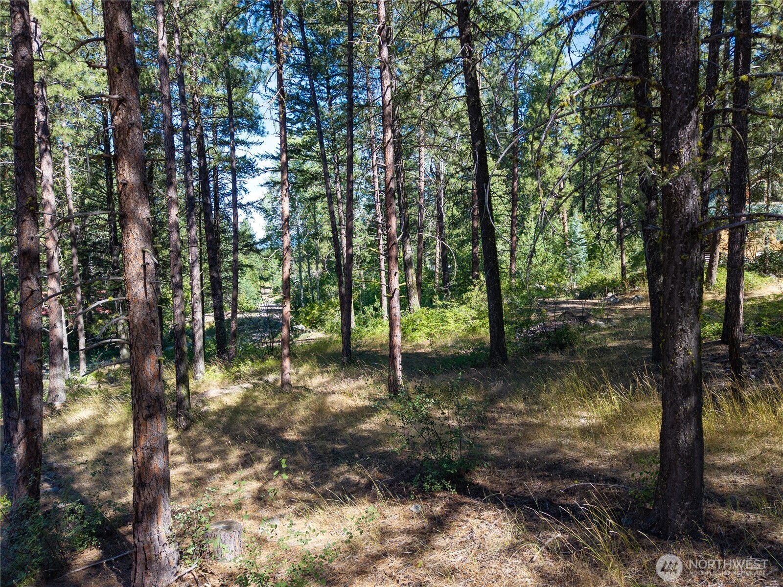 16 Highland Meadow Road Property Photo 10