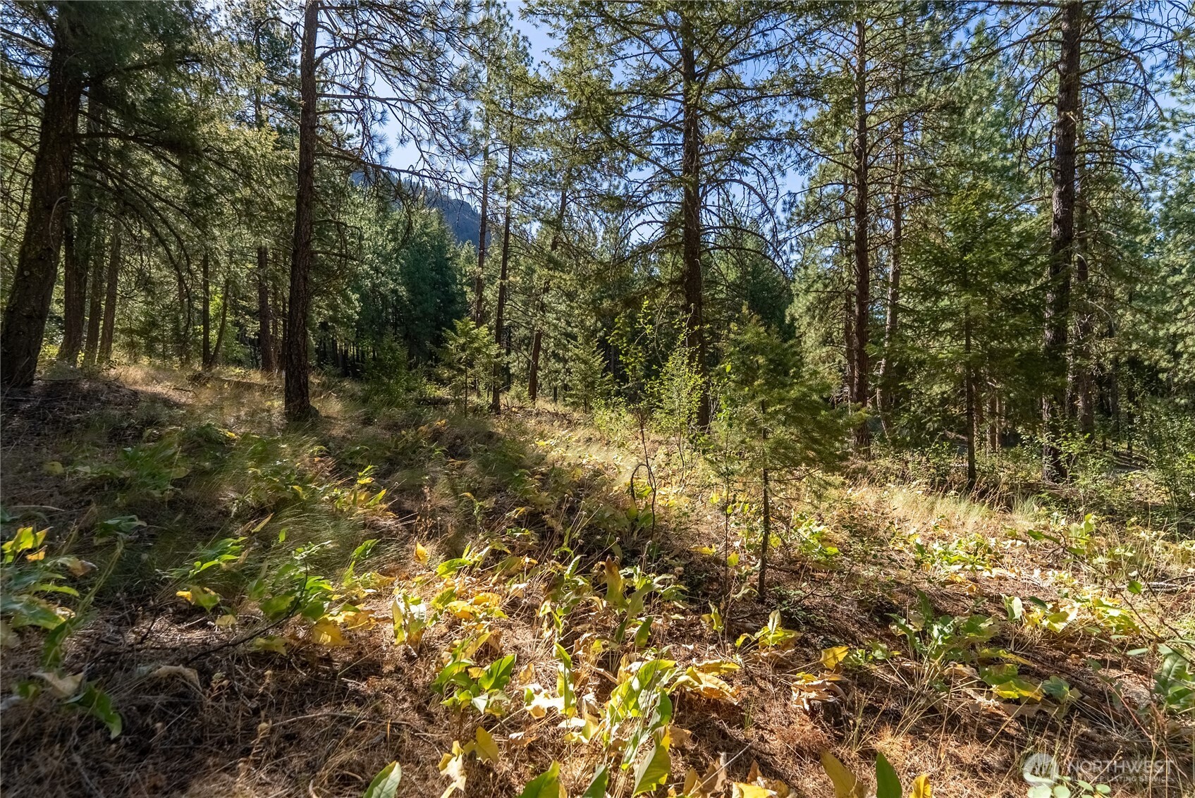 16 Highland Meadow Road Property Photo 17