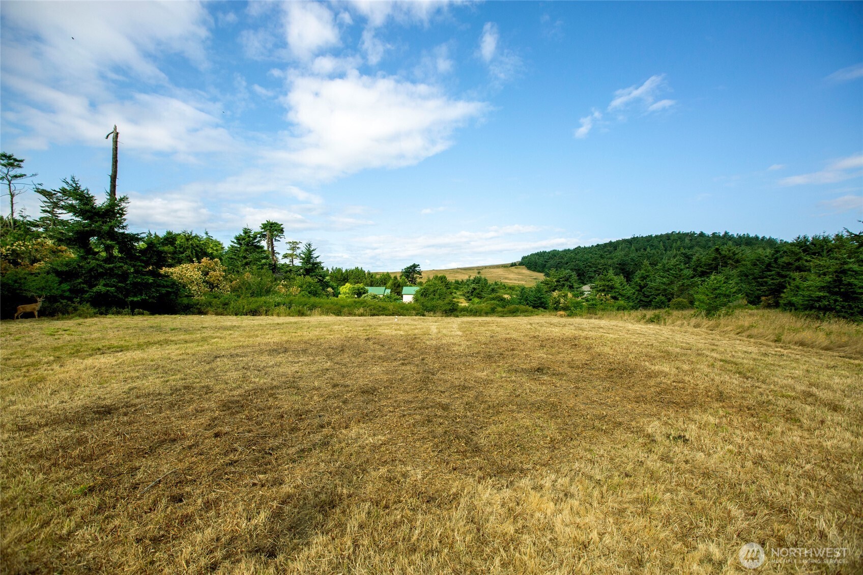 86 Lighthouse Lane Property Photo 10