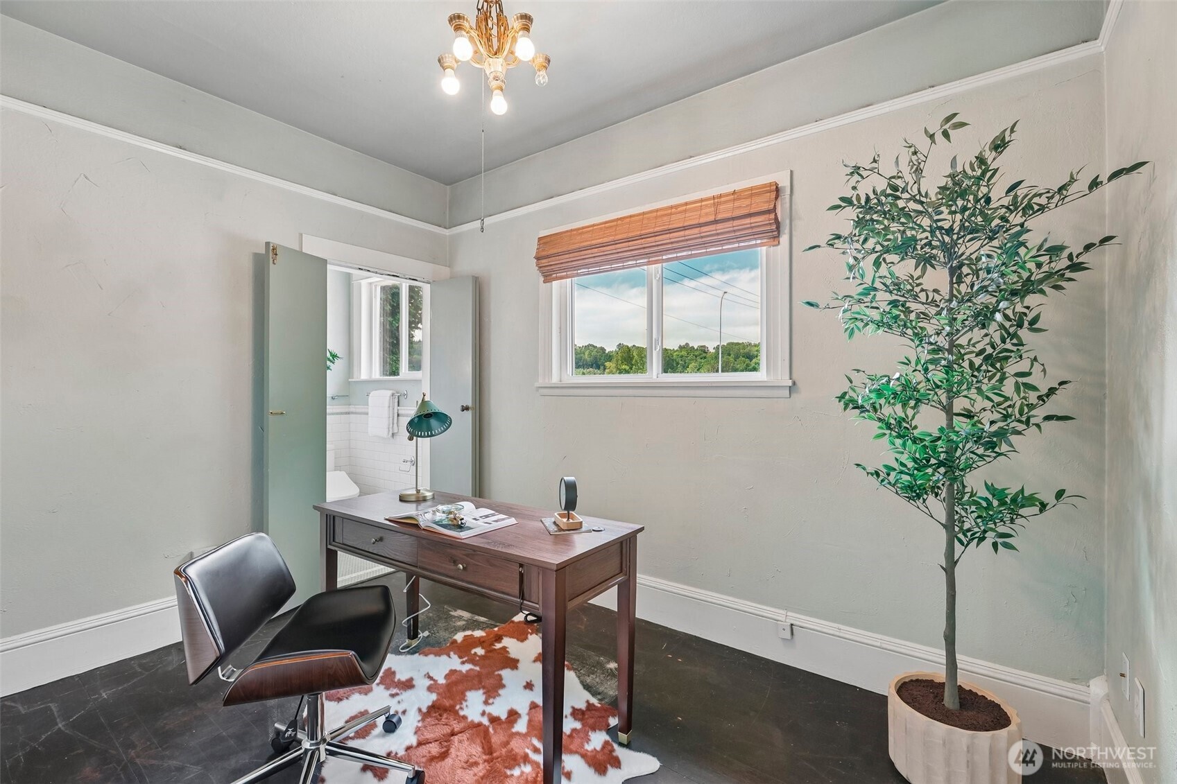 1010 S Director Street Property Photo 25