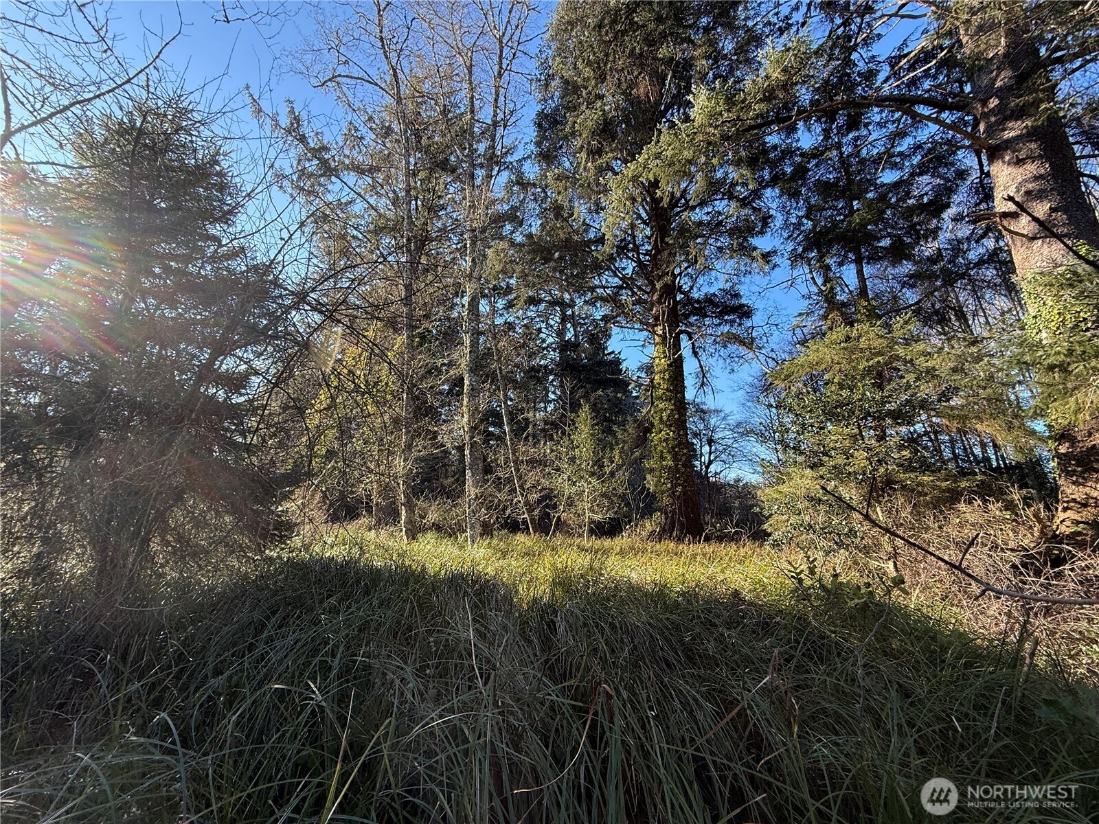 27399 Sandridge Road Property Photo 1