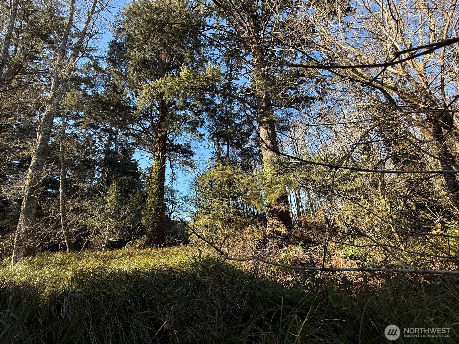 27399 Sandridge Road Property Photo 3
