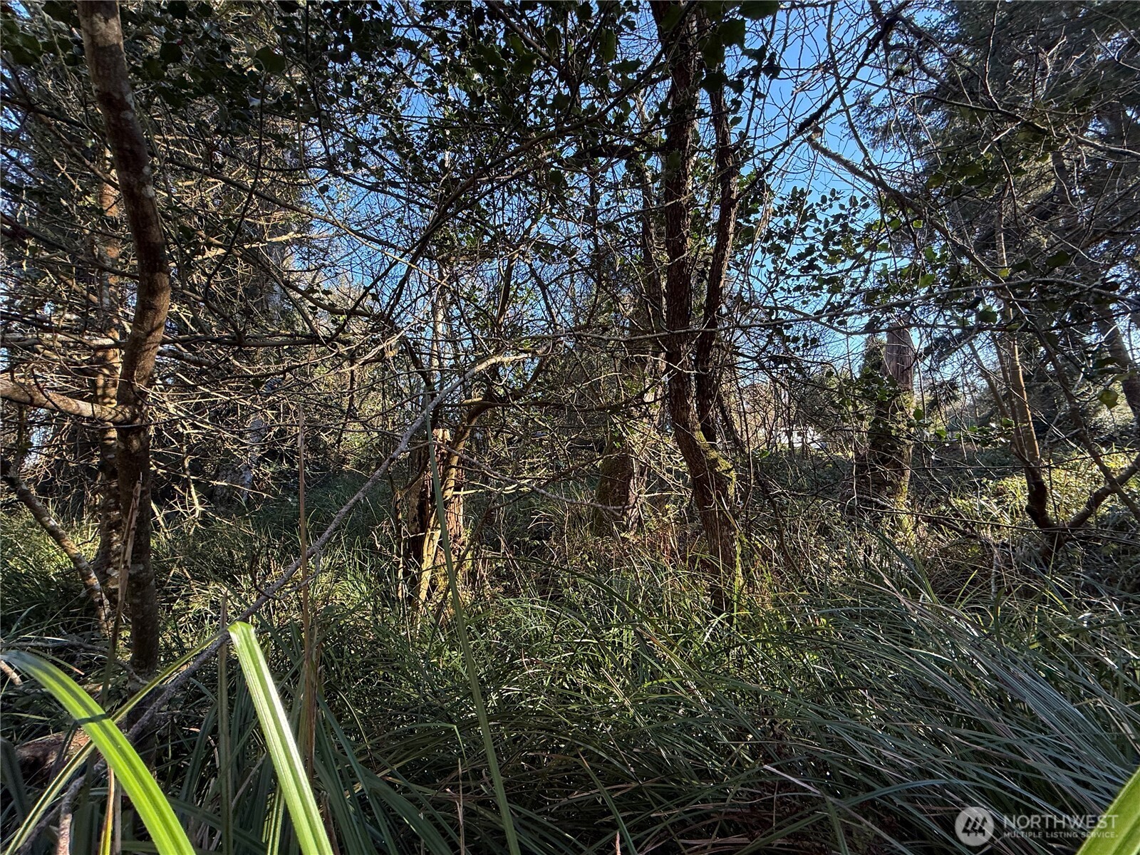 27399 Sandridge Road Property Photo 4