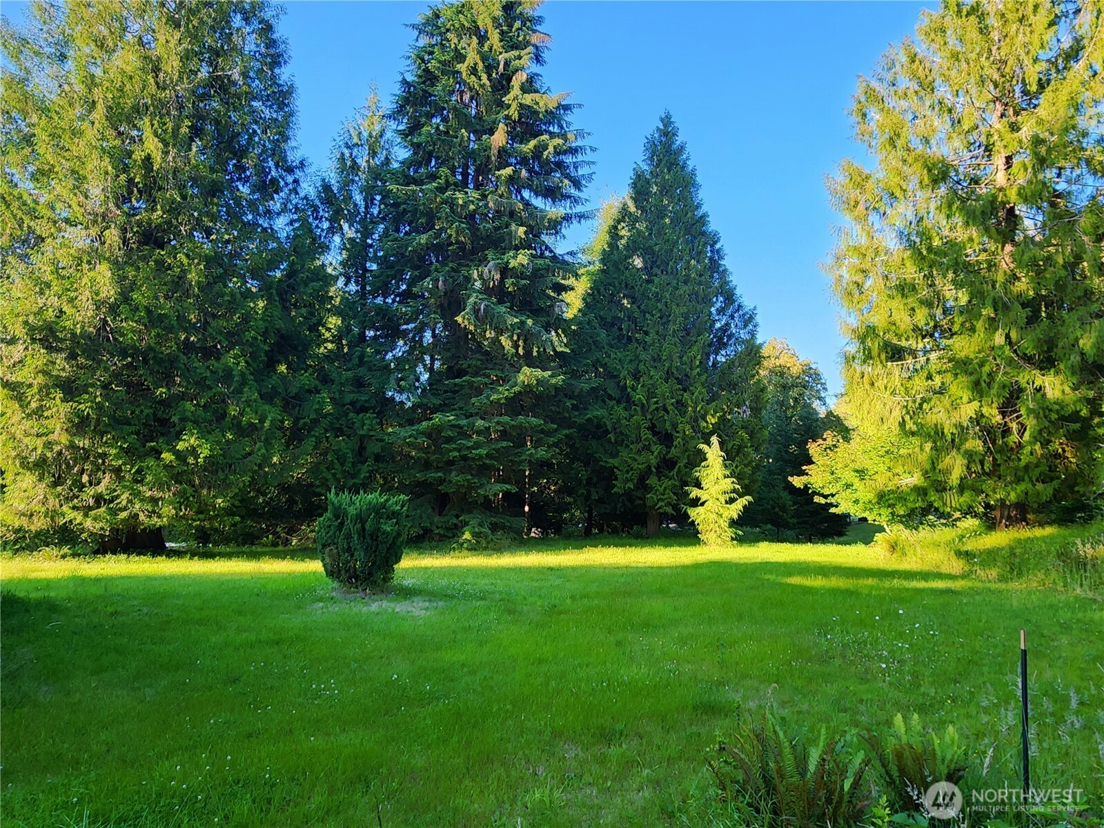 234 Markum Lane Property Photo 3