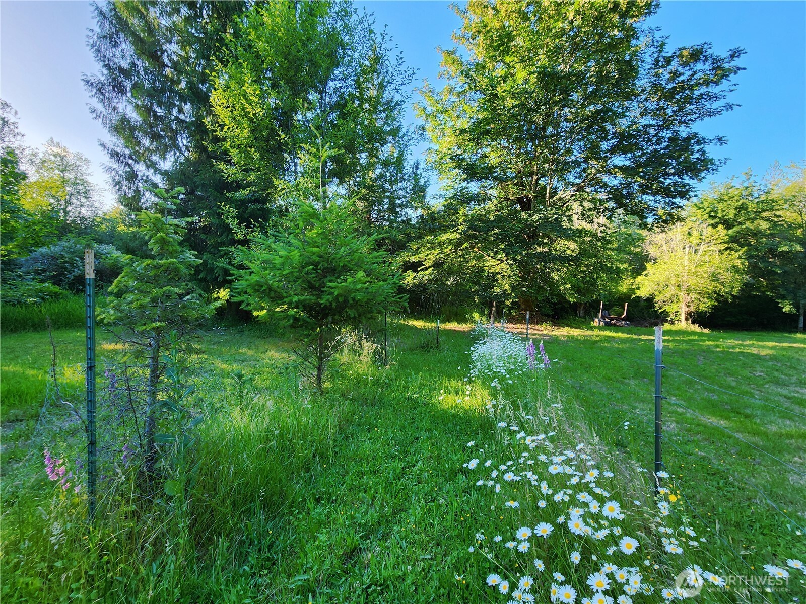 234 Markum Lane Property Photo 22
