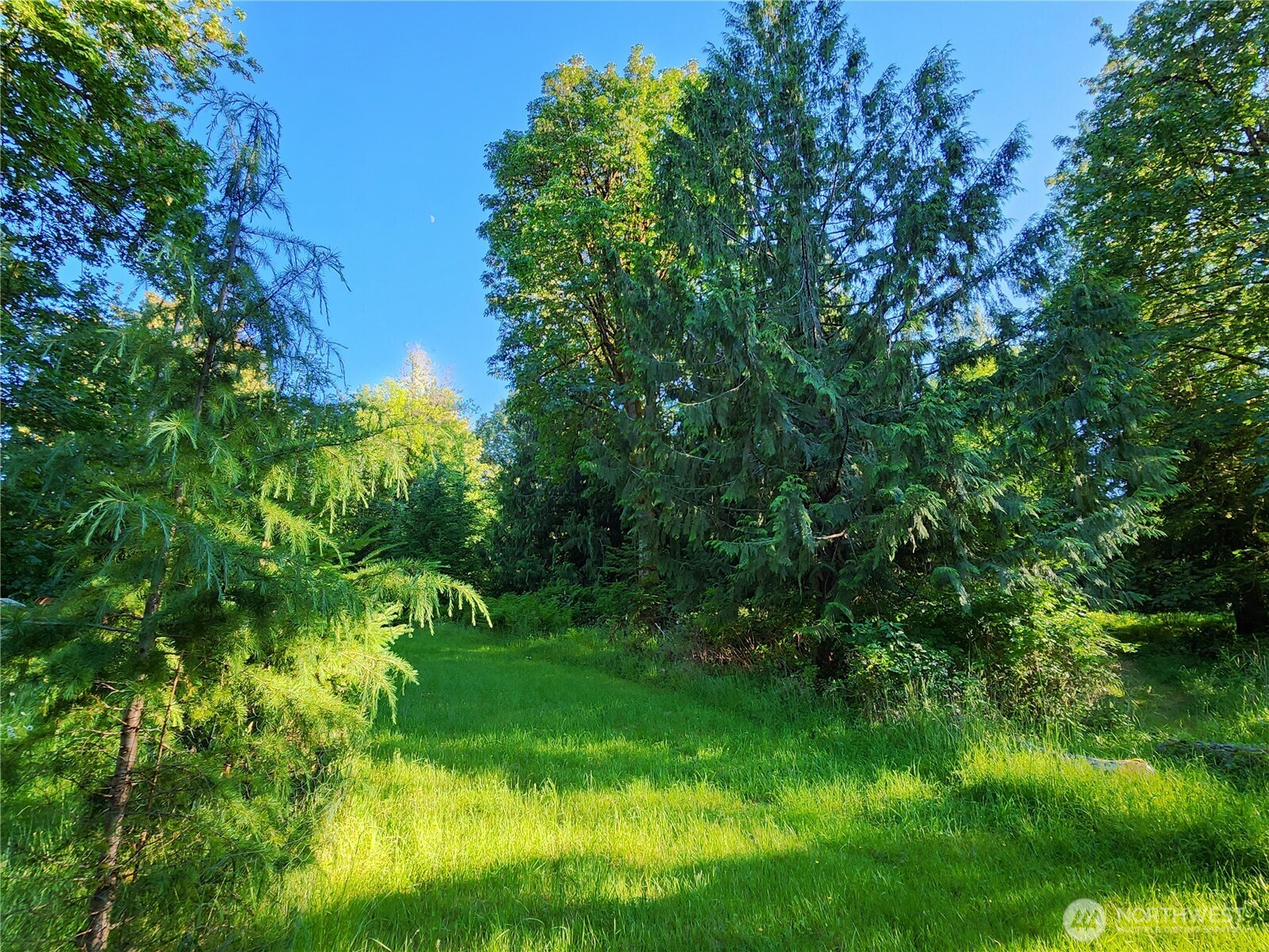 234 Markum Lane Property Photo 23