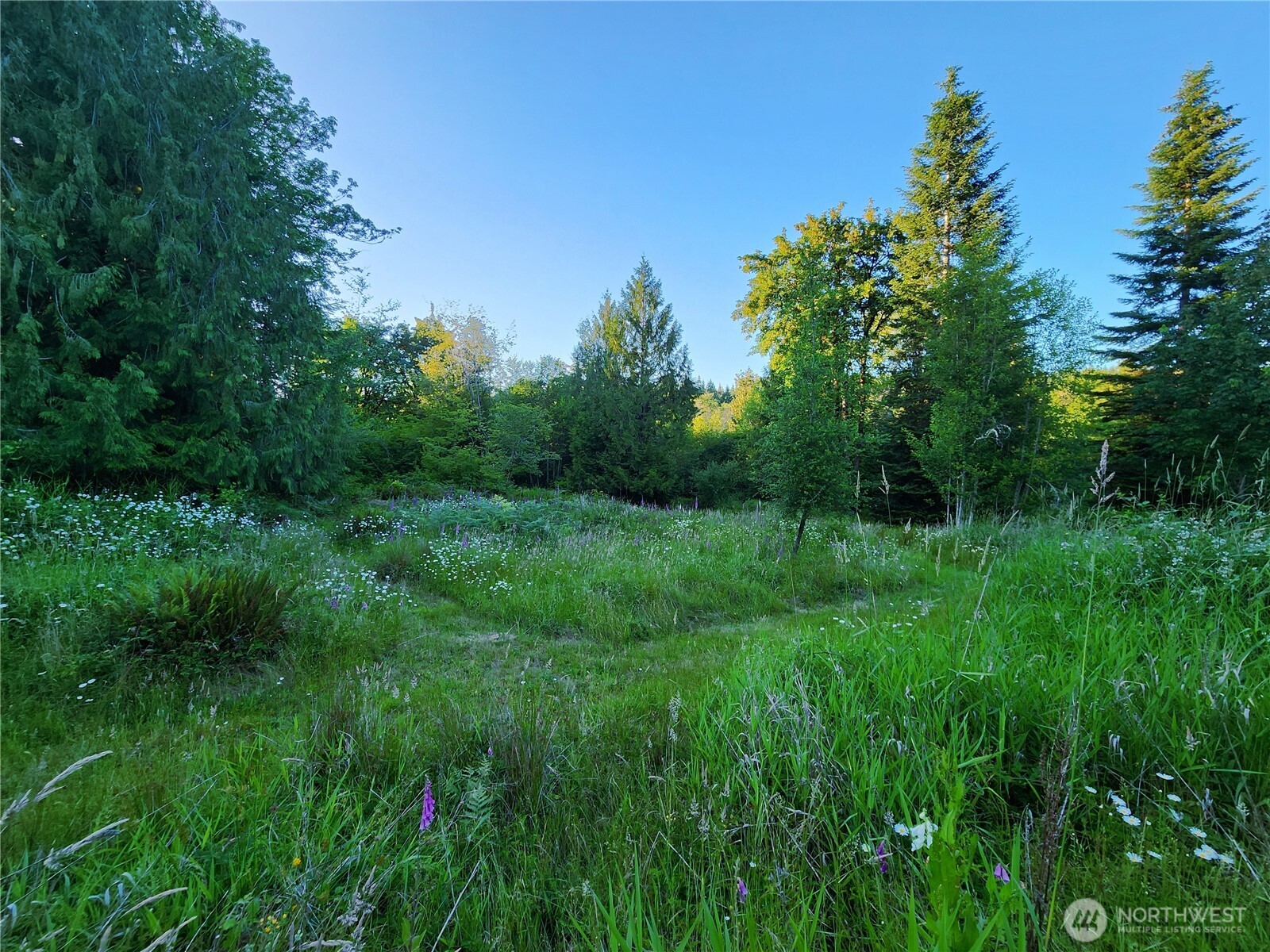 234 Markum Lane Property Photo 25