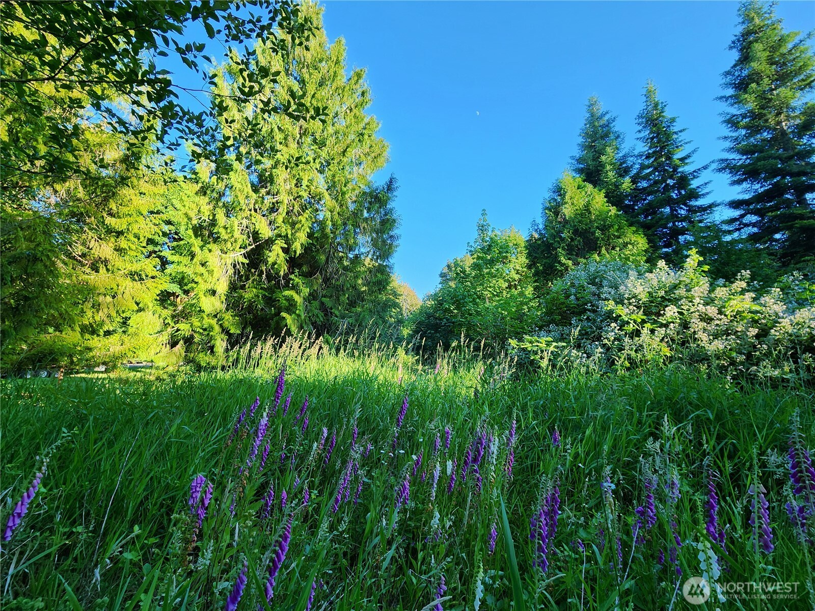 234 Markum Lane Property Photo 26