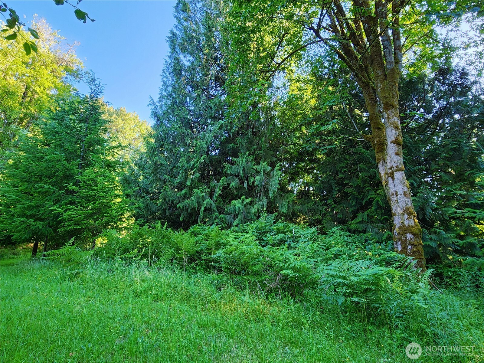 234 Markum Lane Property Photo 27