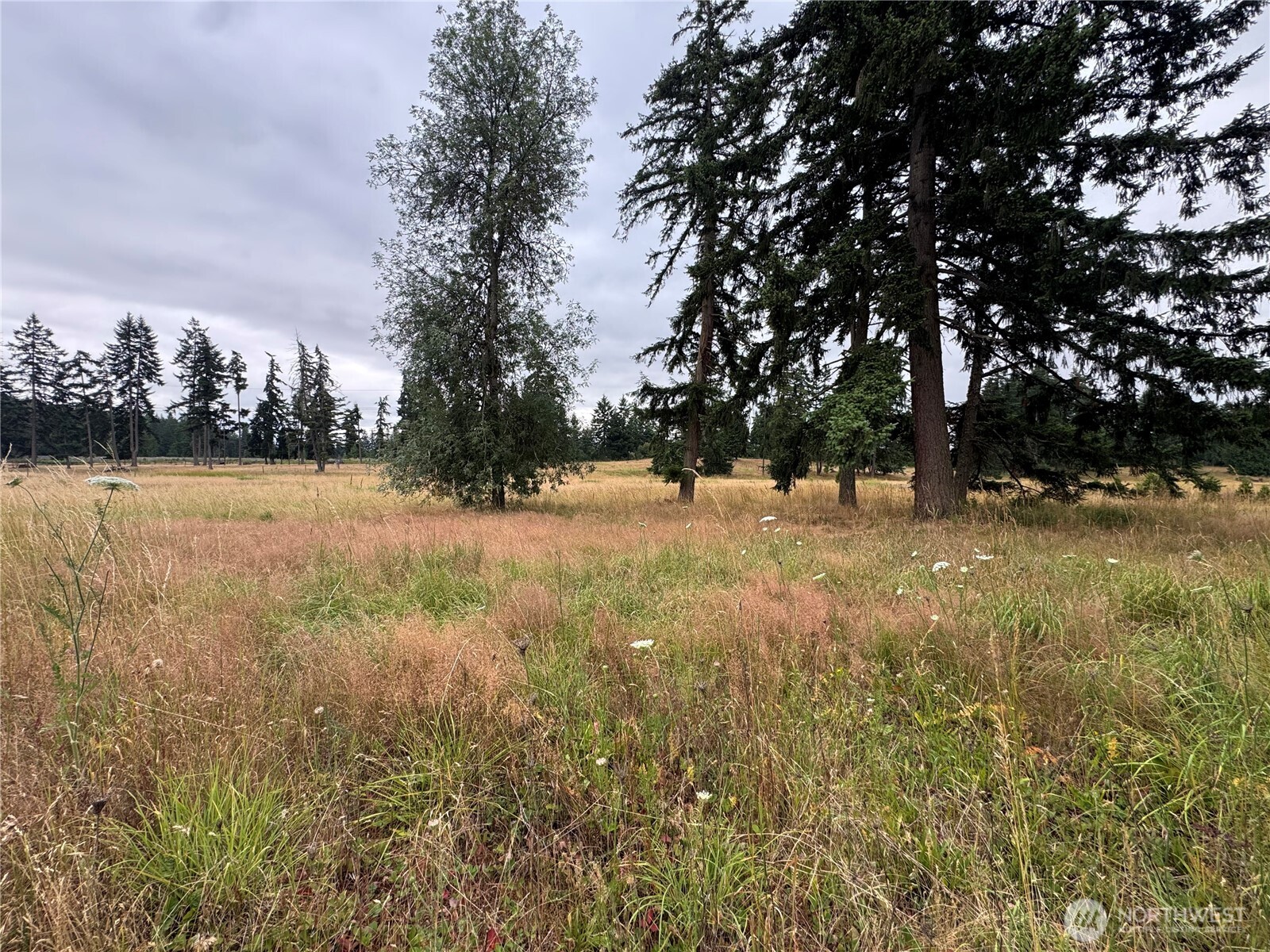 15339 123rd Avenue Property Photo 2