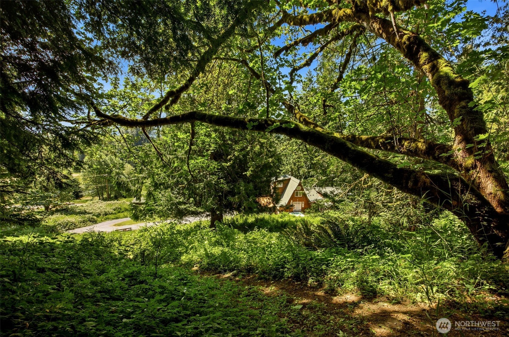 33217 Mount Tahoma Canyon Road Property Photo 34
