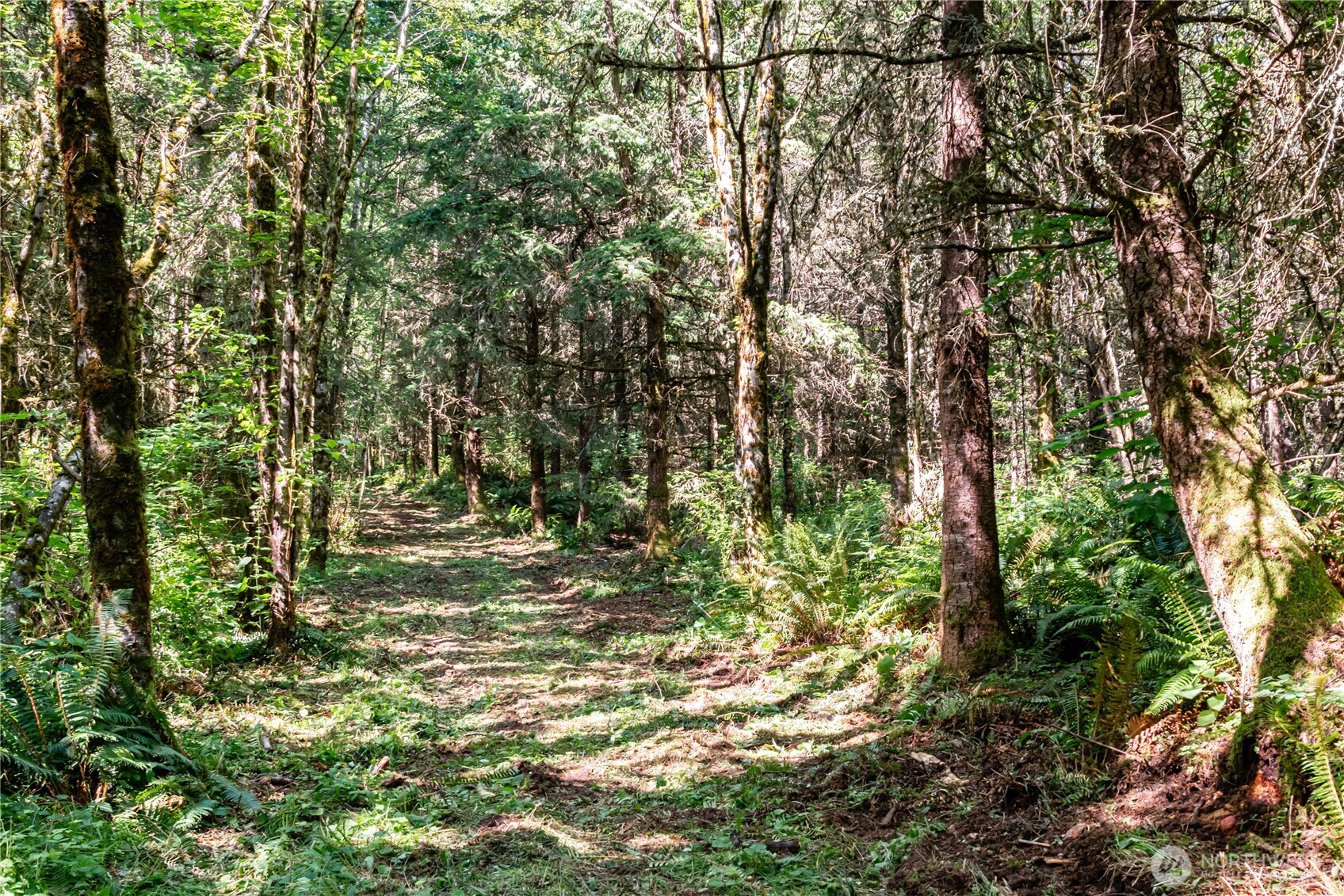 19 Academy Highlands Property Photo 4