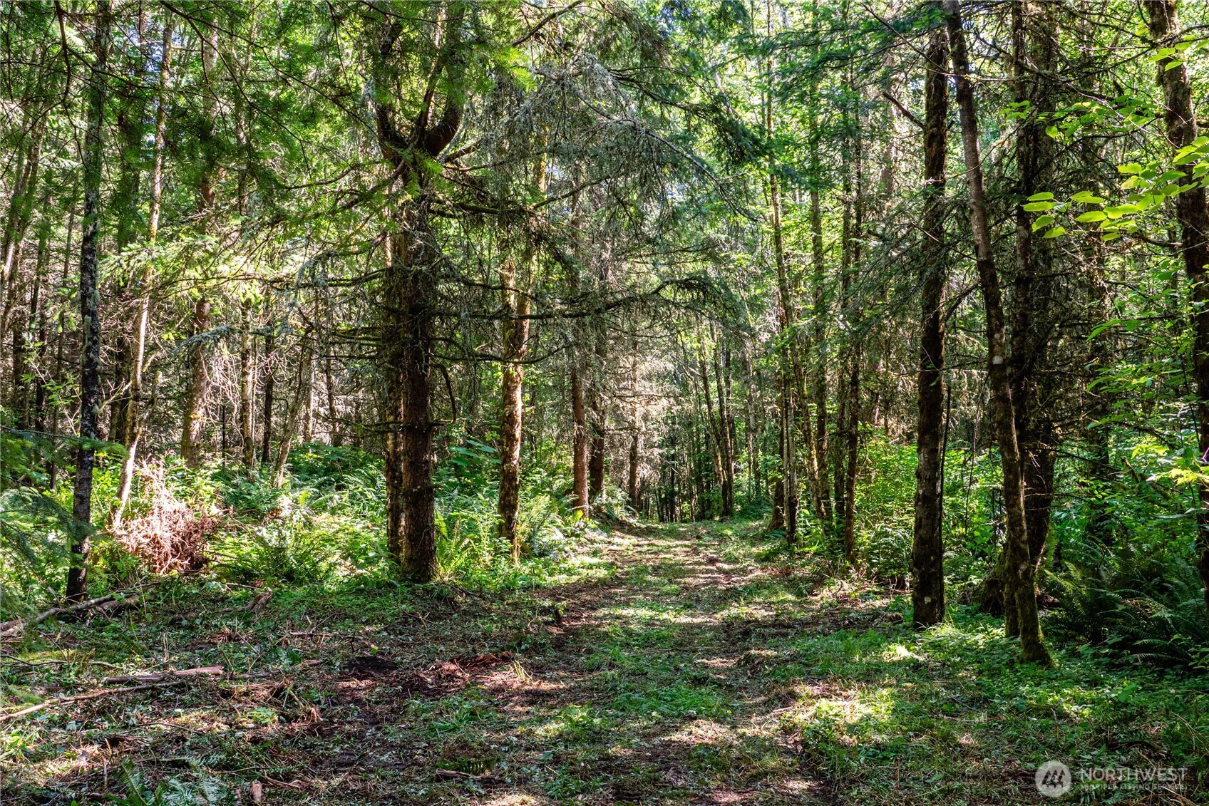 19 Academy Highlands Property Photo 5