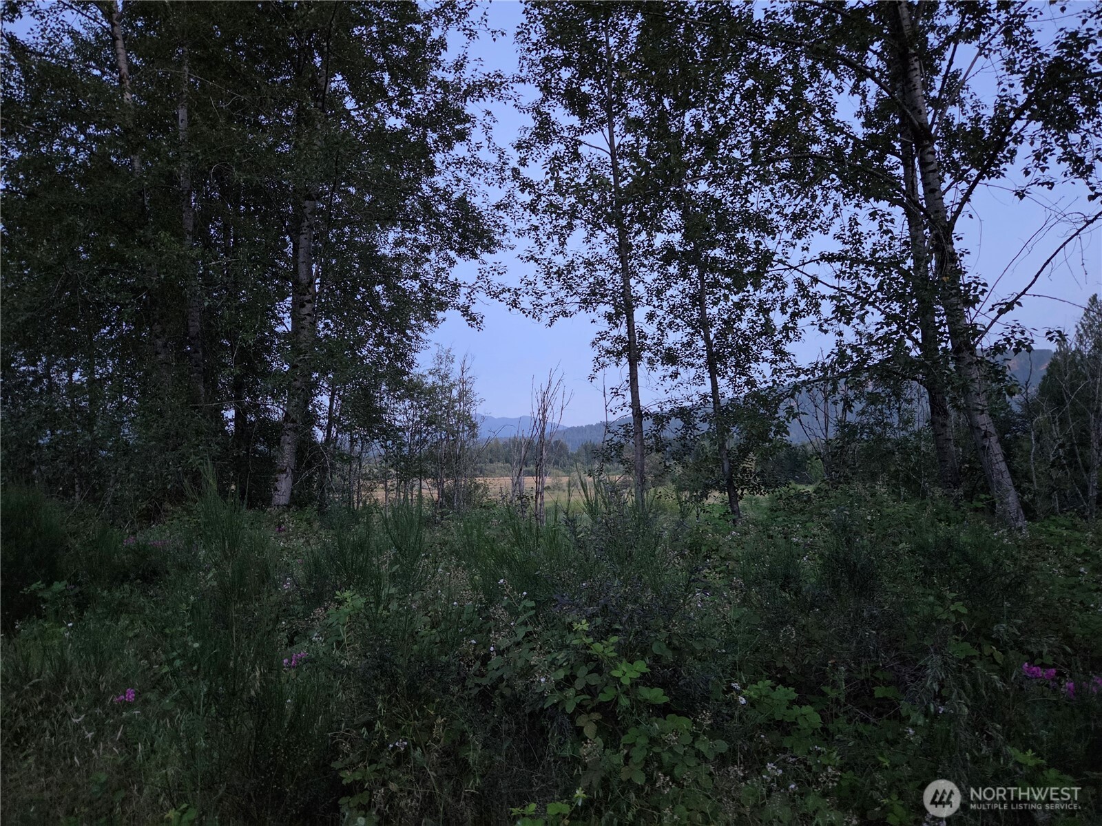 108 Savio Road Property Photo 25
