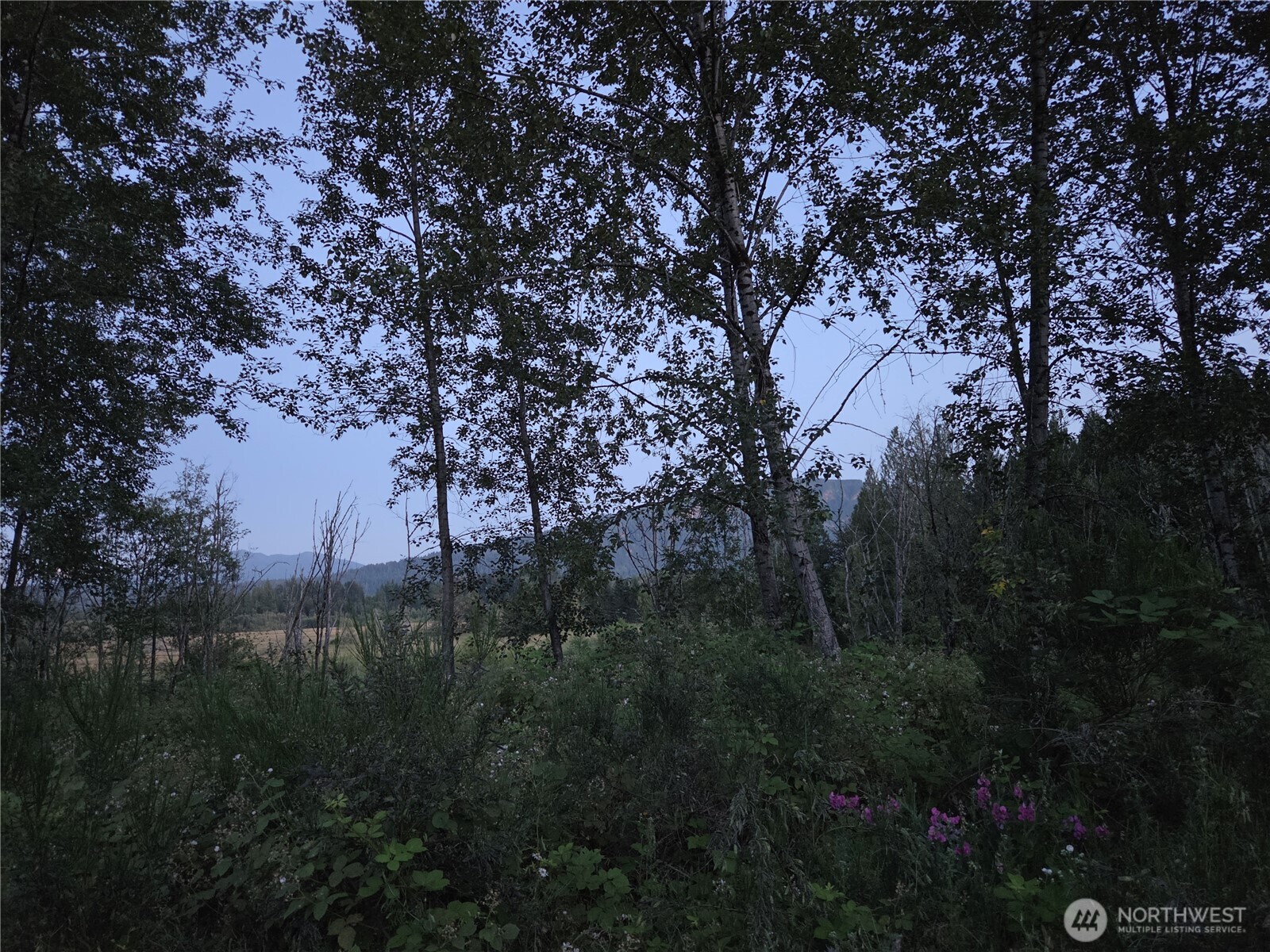 108 Savio Road Property Photo 27