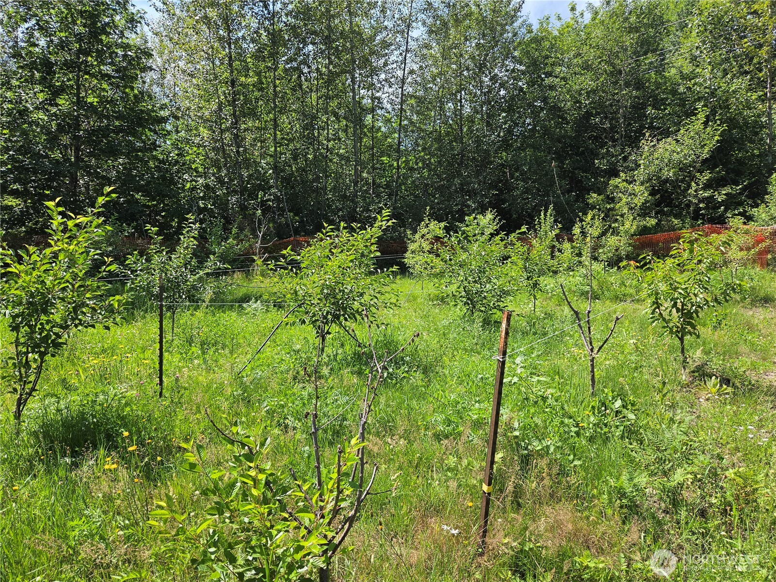 108 Savio Road Property Photo 28