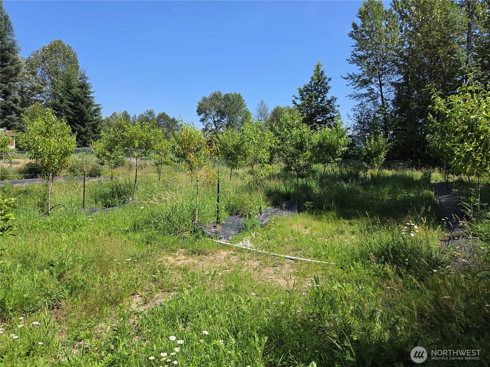 108 Savio Road Property Photo 32